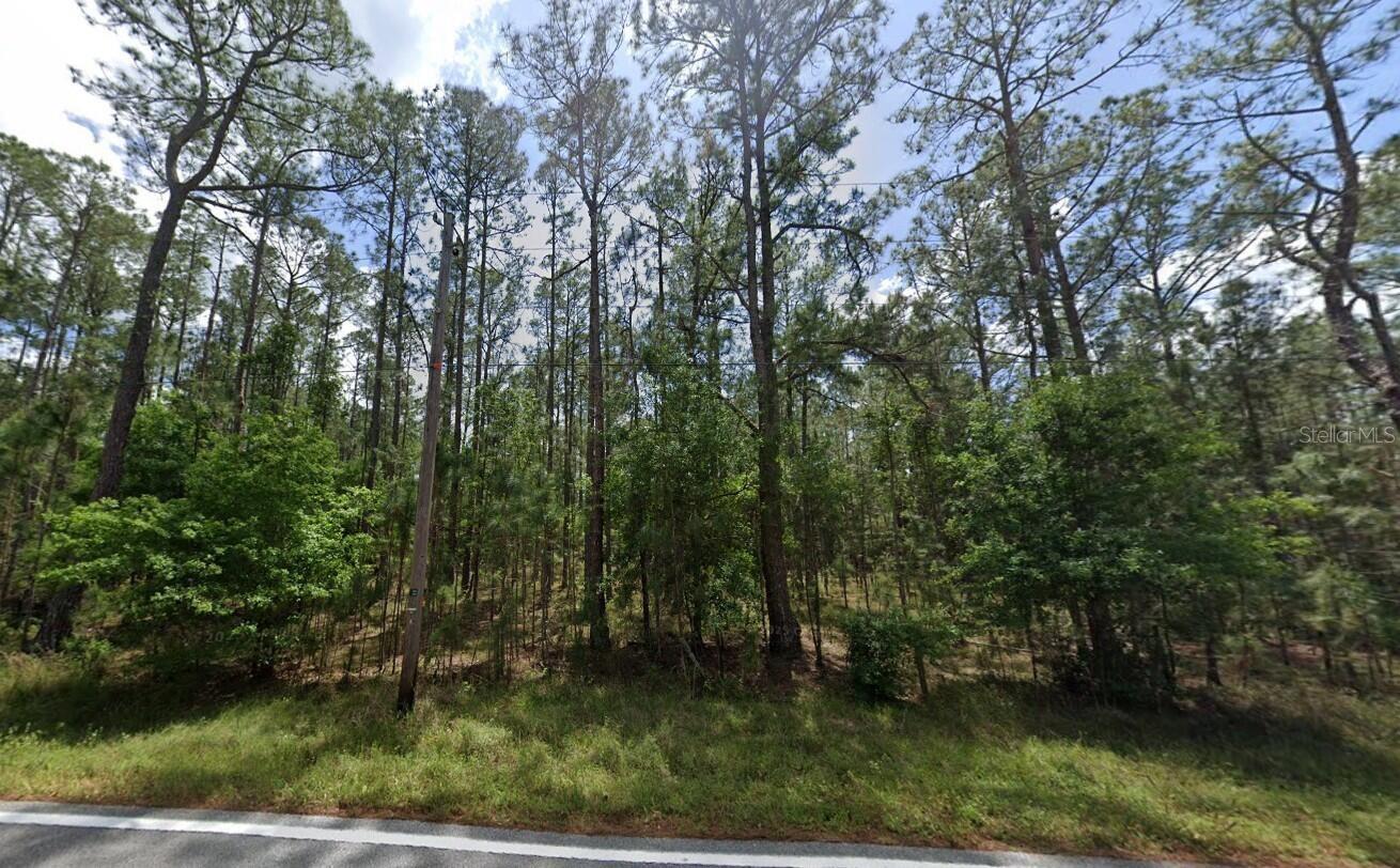 POYNER OAKS RD N