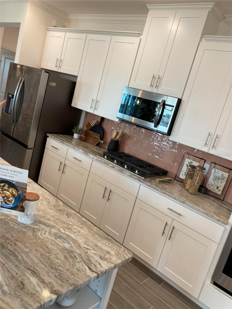 25584 CALUSA DR
