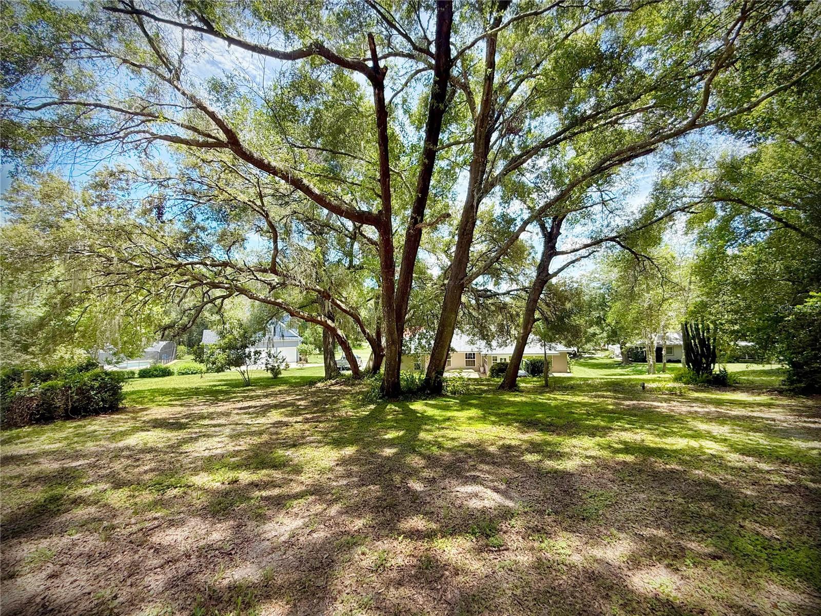 7237 EDMUND CT