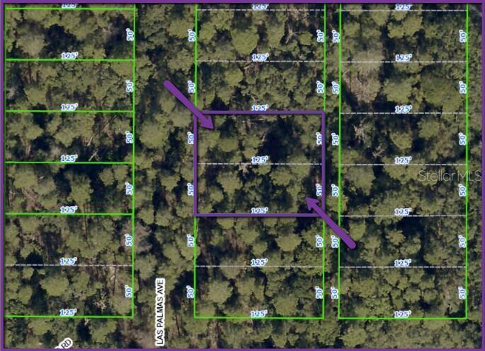0 LAS PALMAS AVE #lot 11 & 12