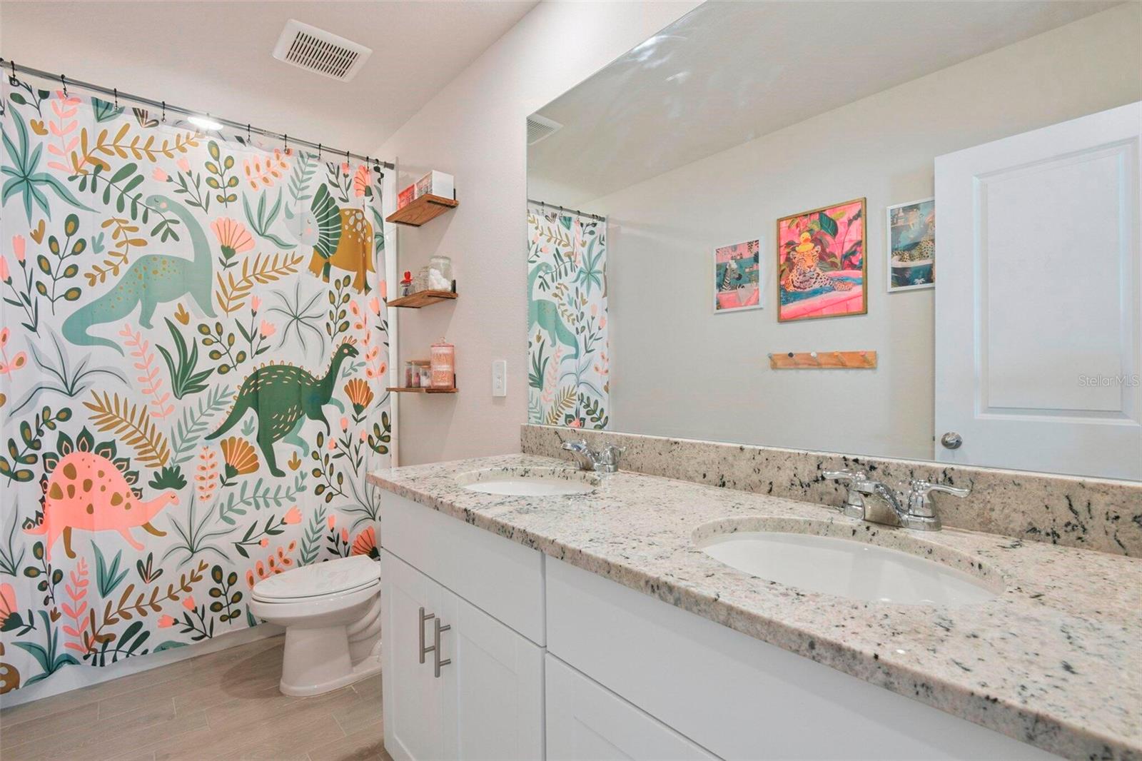 3610 RADIANT MOUNTAIN DR