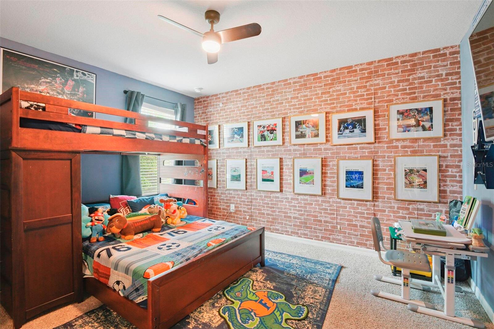 3610 RADIANT MOUNTAIN DR