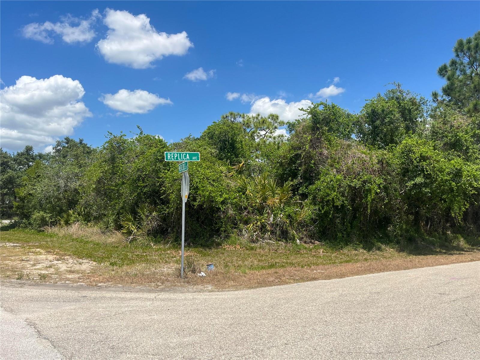 901 REPLICA AVE