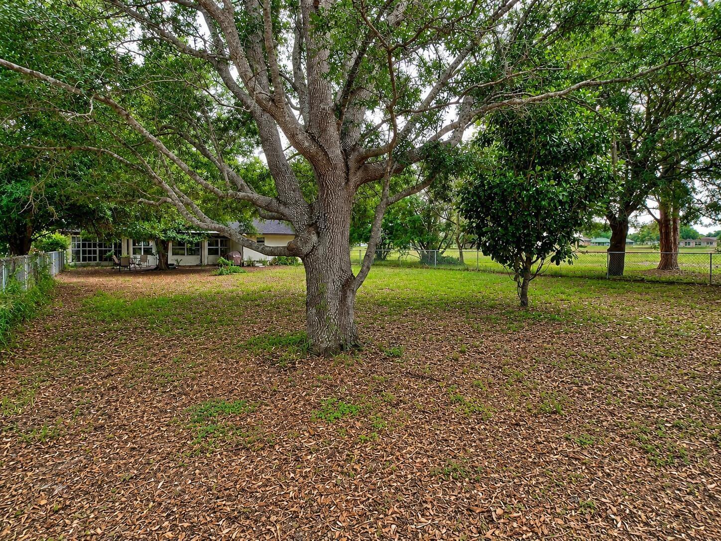 7317 LIME TREE CT