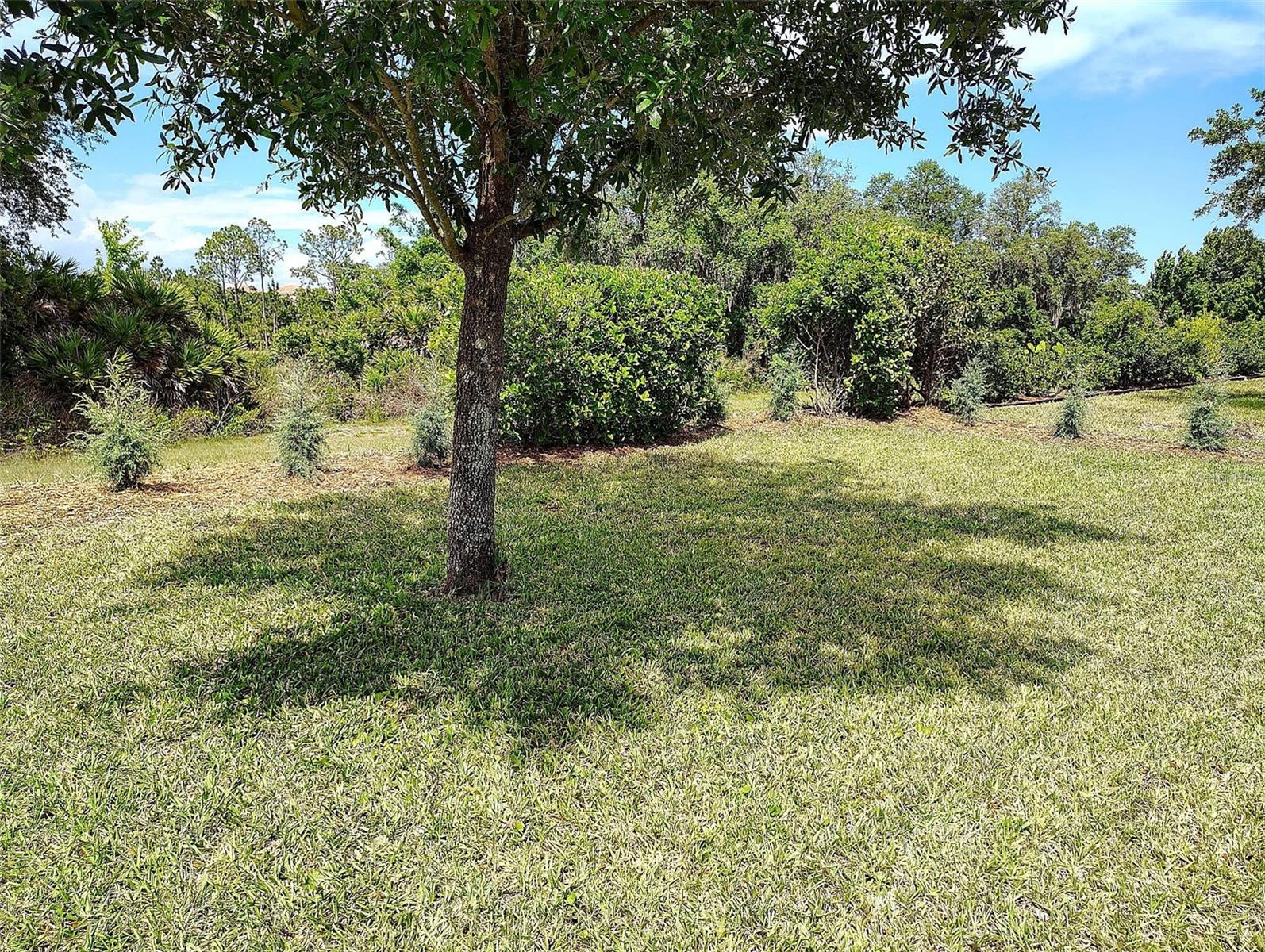 1047 OAK BLUFF DR