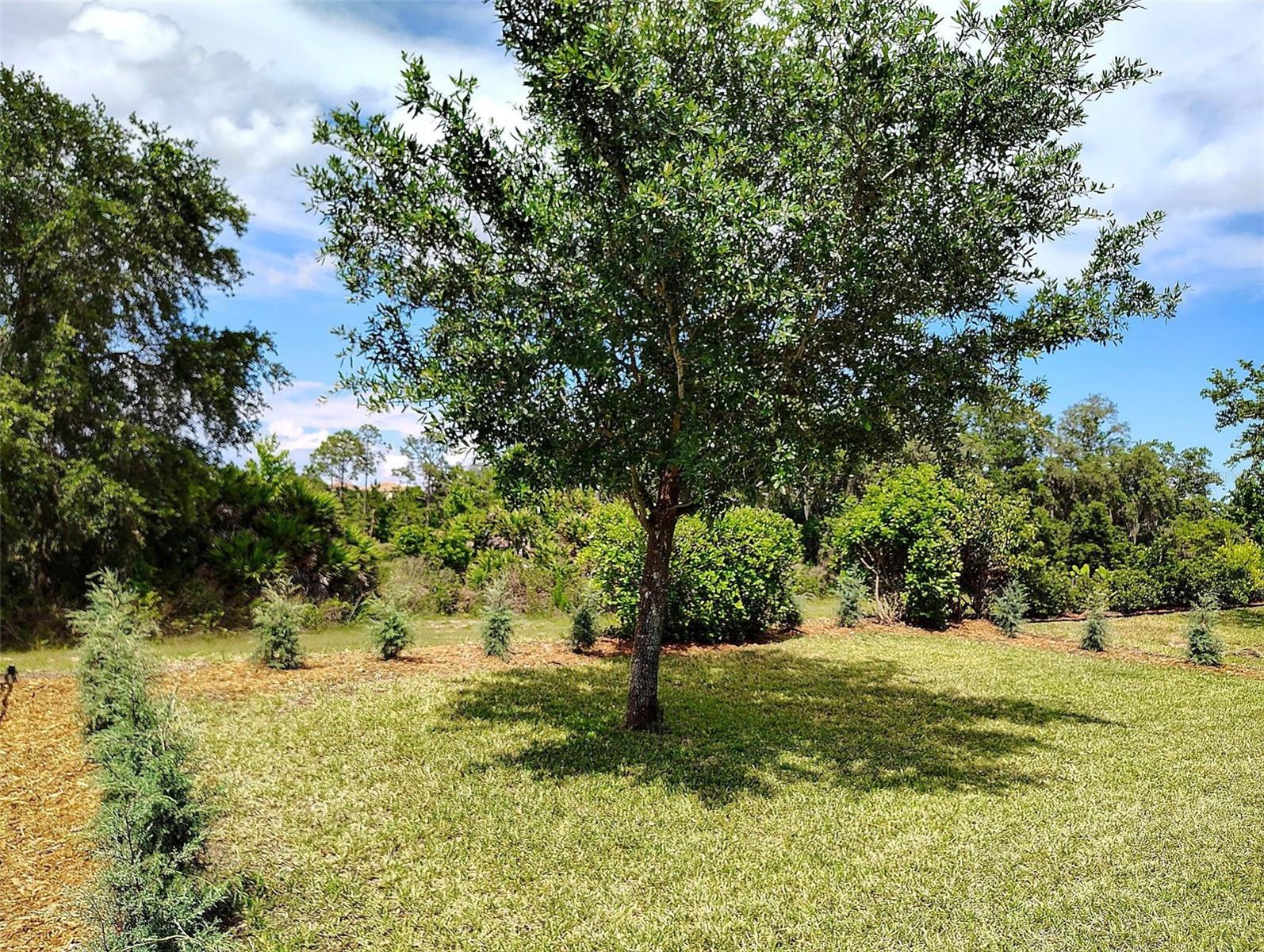1047 OAK BLUFF DR