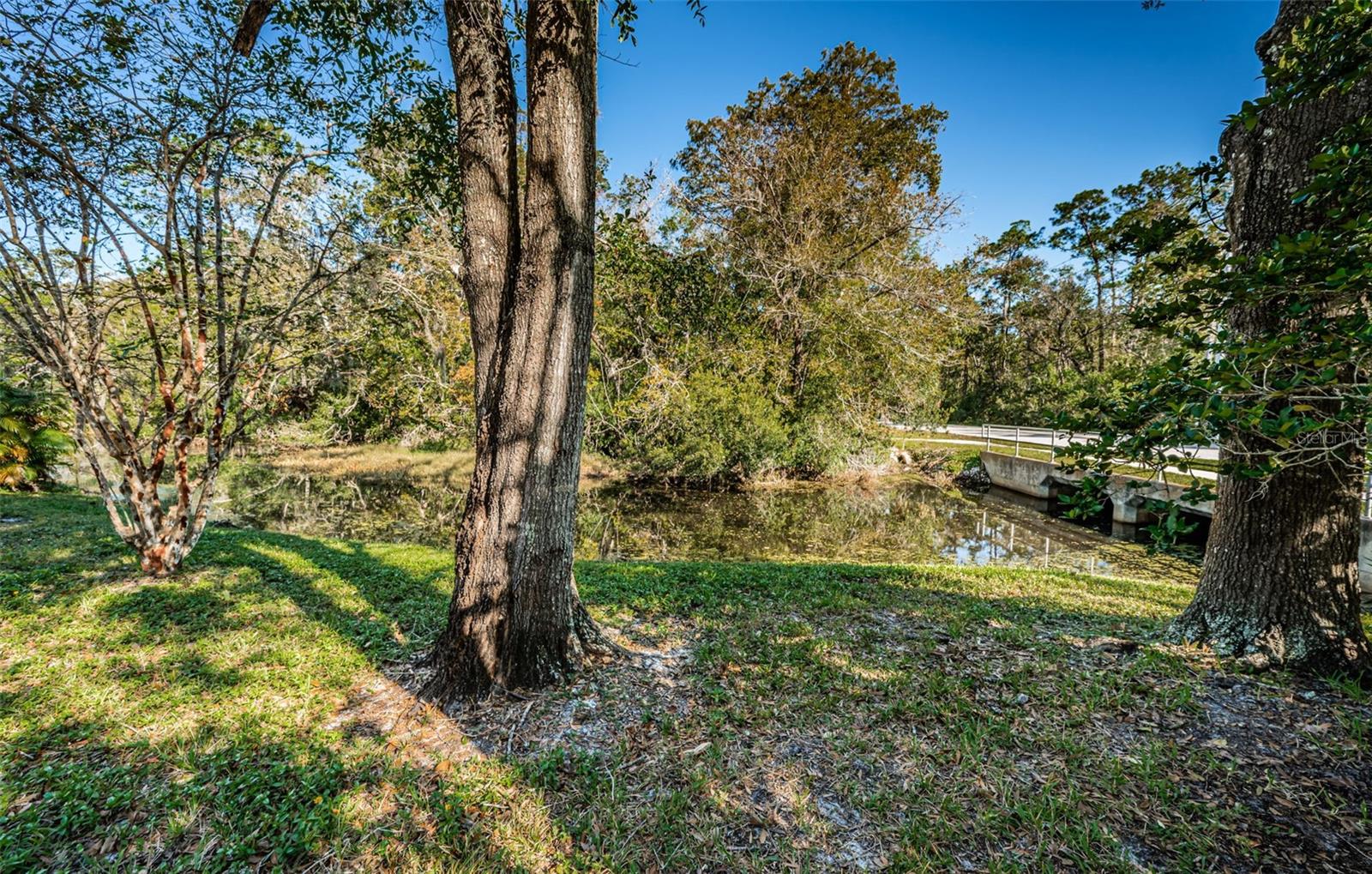 4399 BROOKER CREEK DR