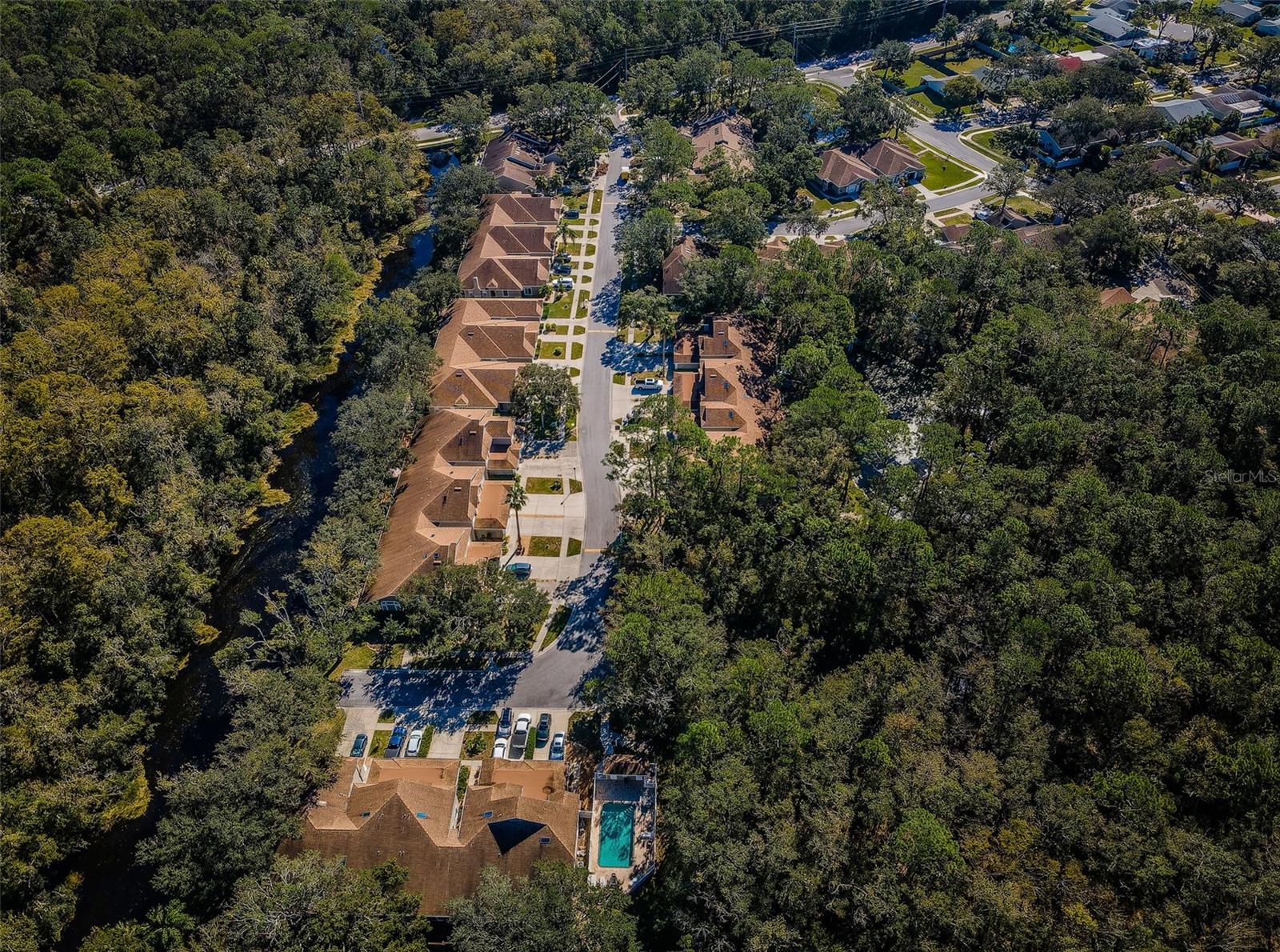 4399 BROOKER CREEK DR