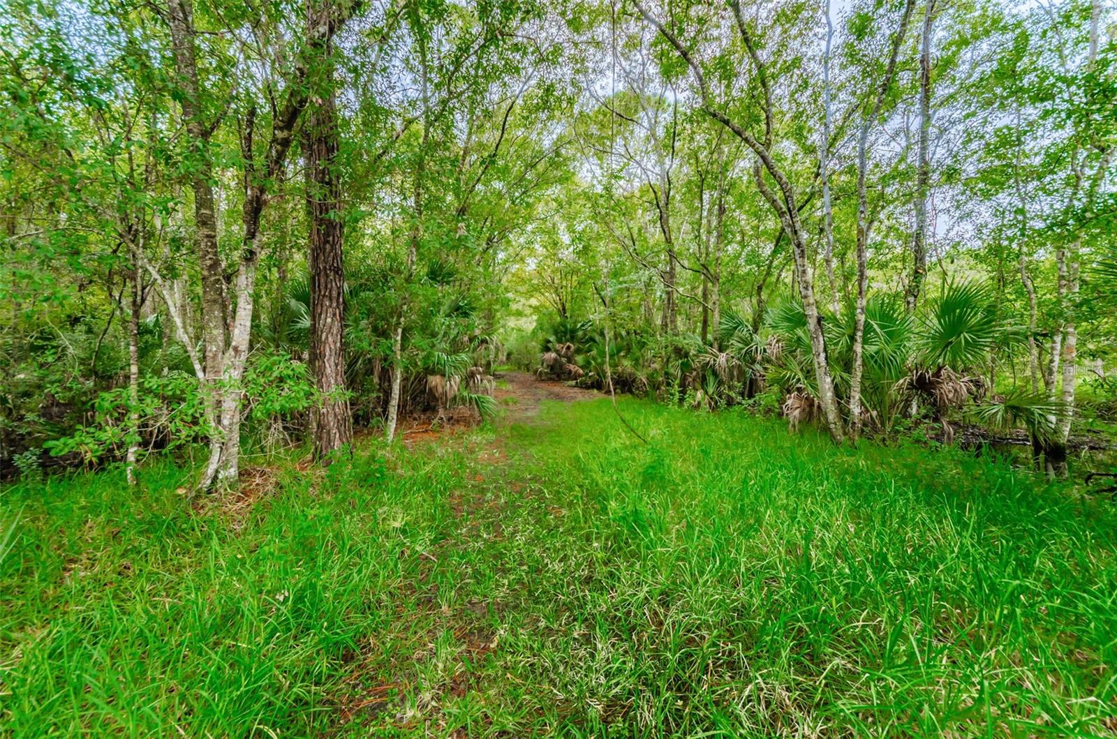 4399 BROOKER CREEK DR