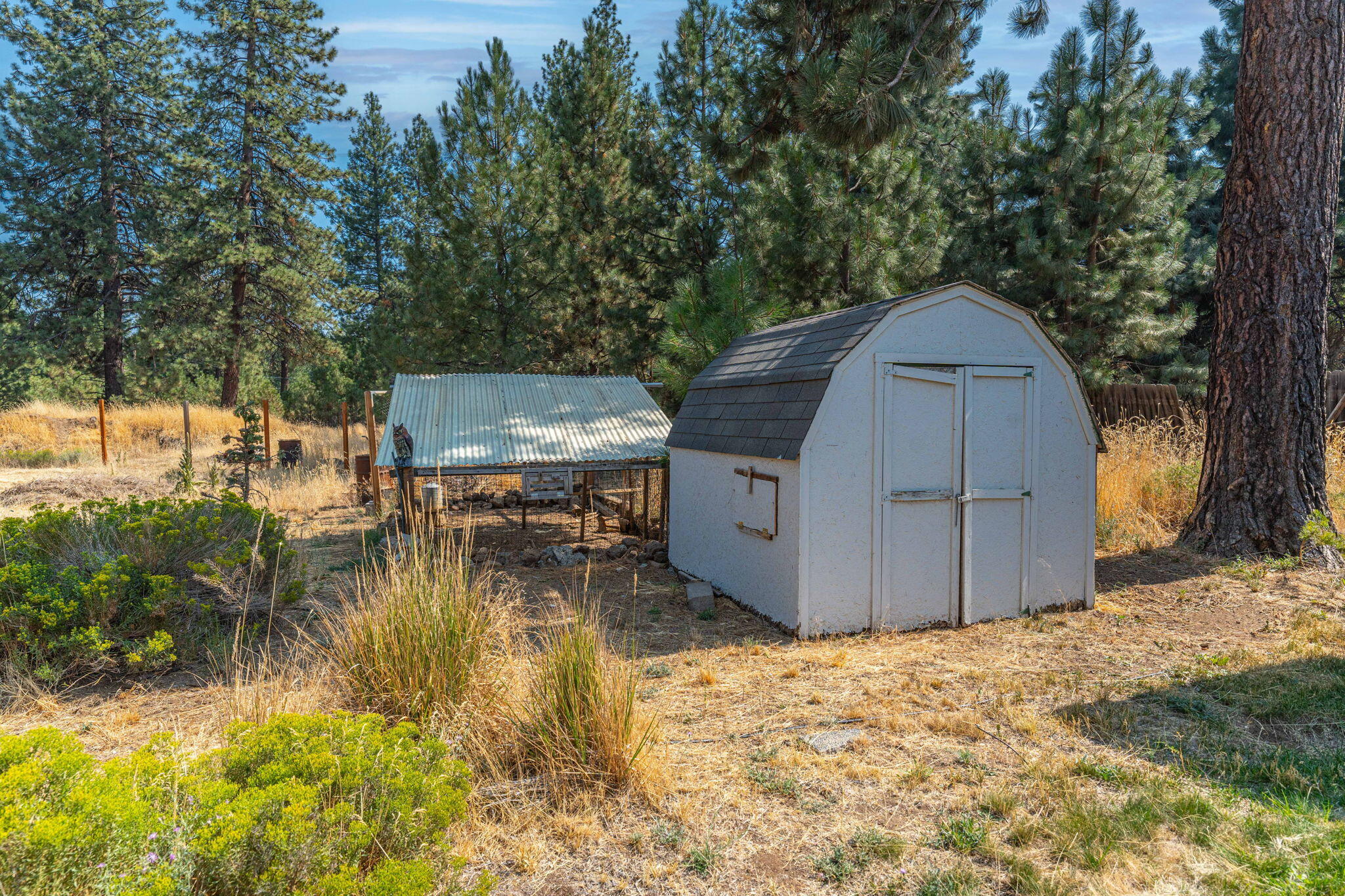 19491 Apache Road