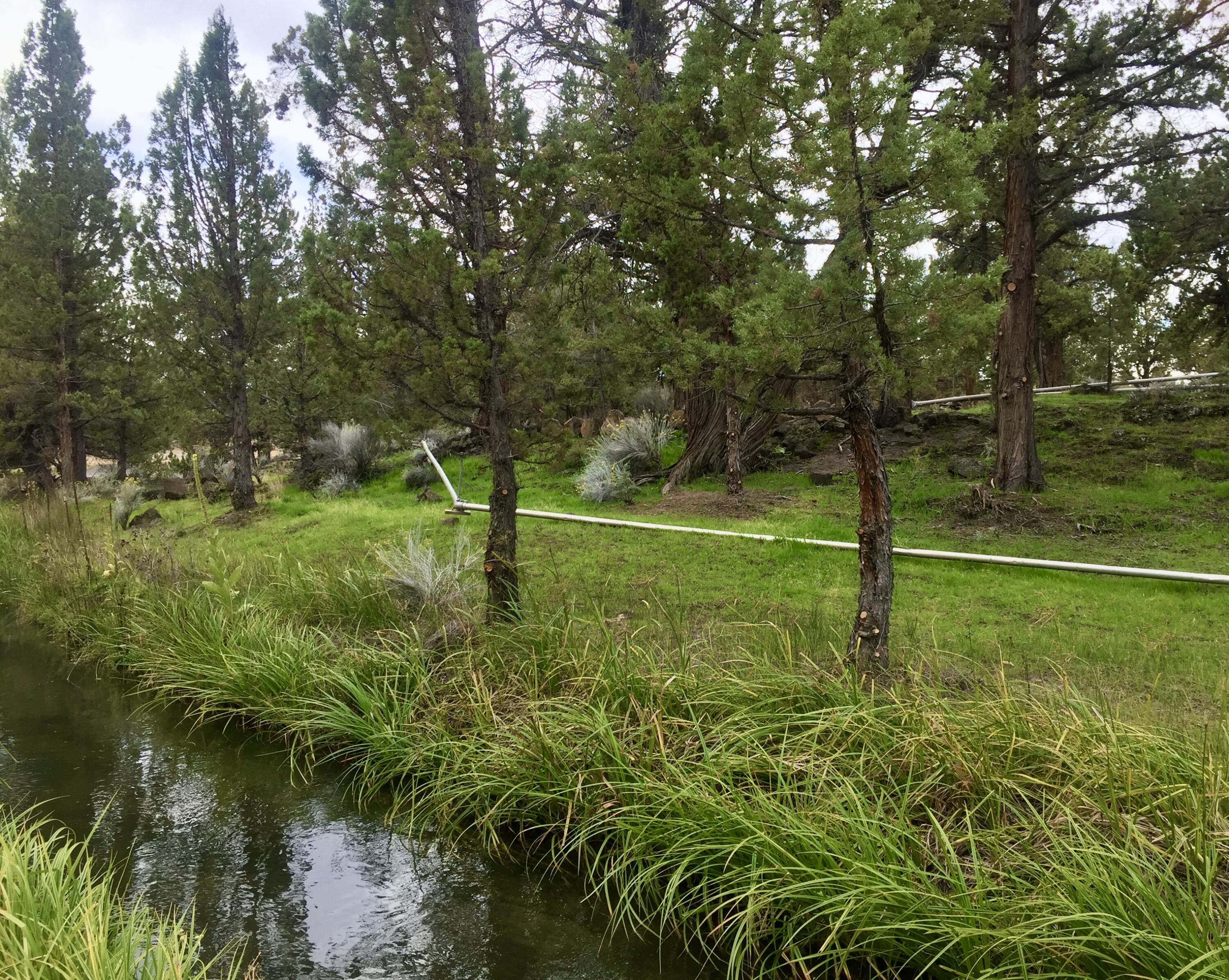 64393 Deschutes Market Road