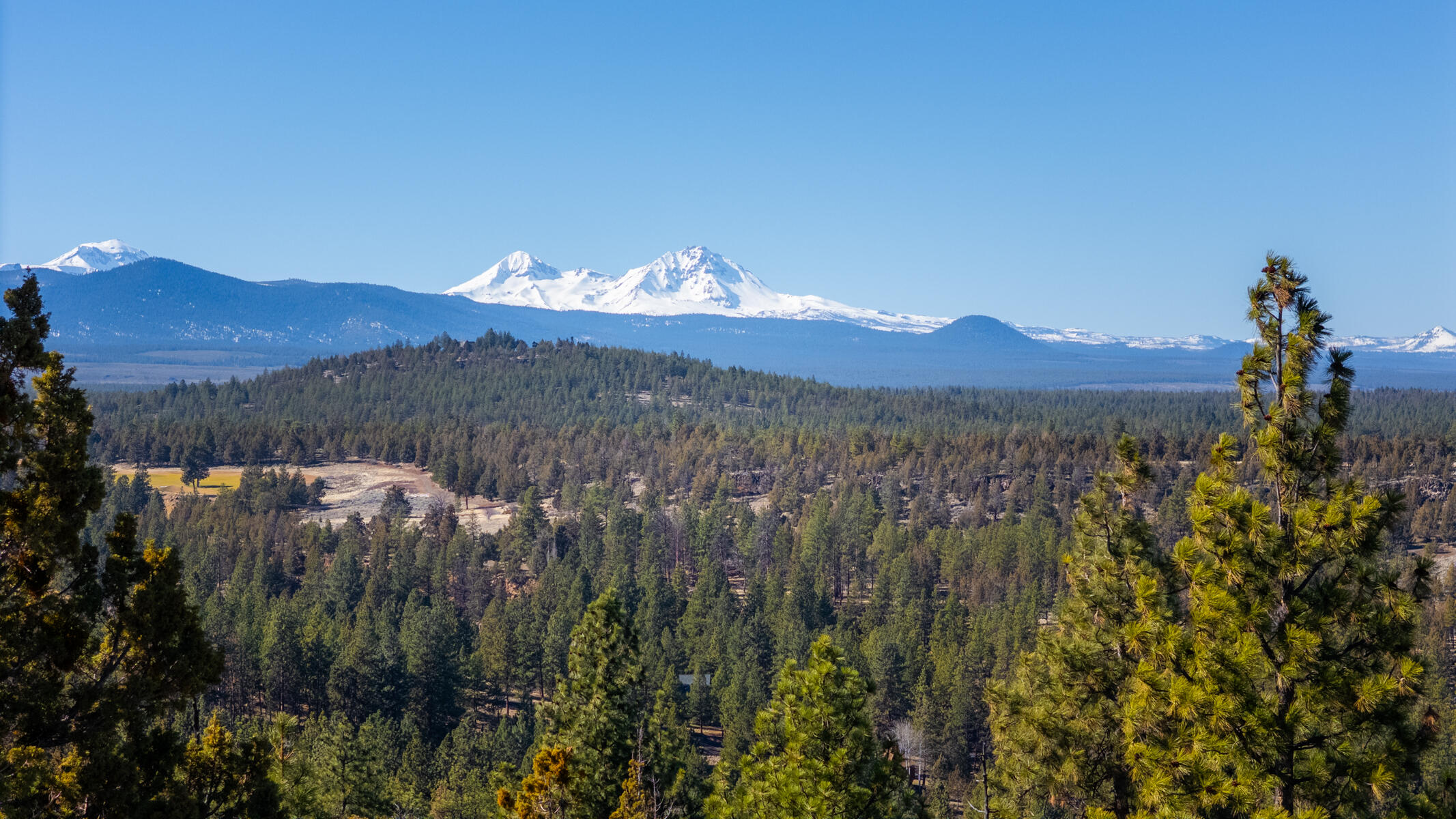 3473 NW Greenleaf Way, Lot 40