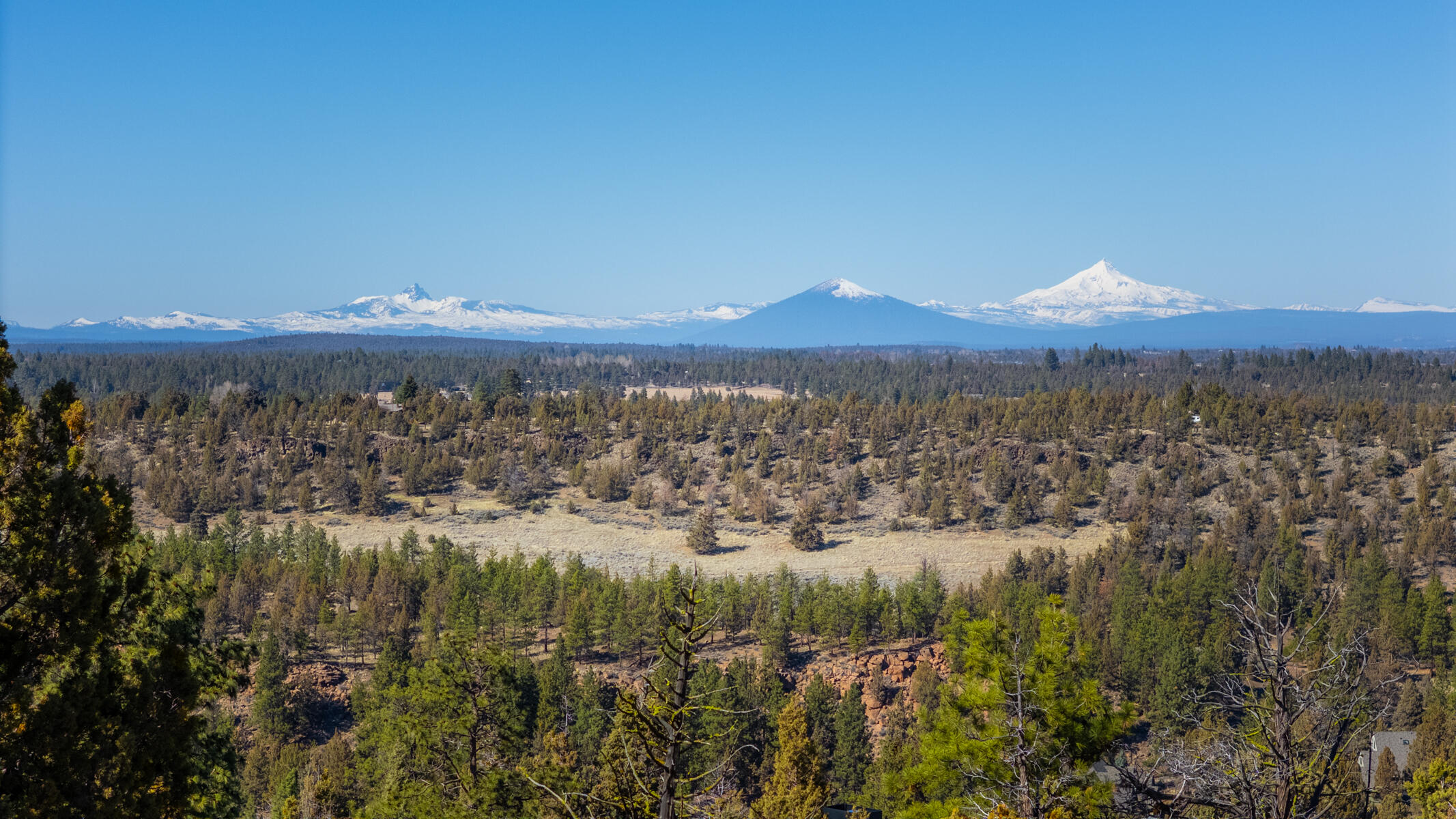 3473 NW Greenleaf Way, Lot 40