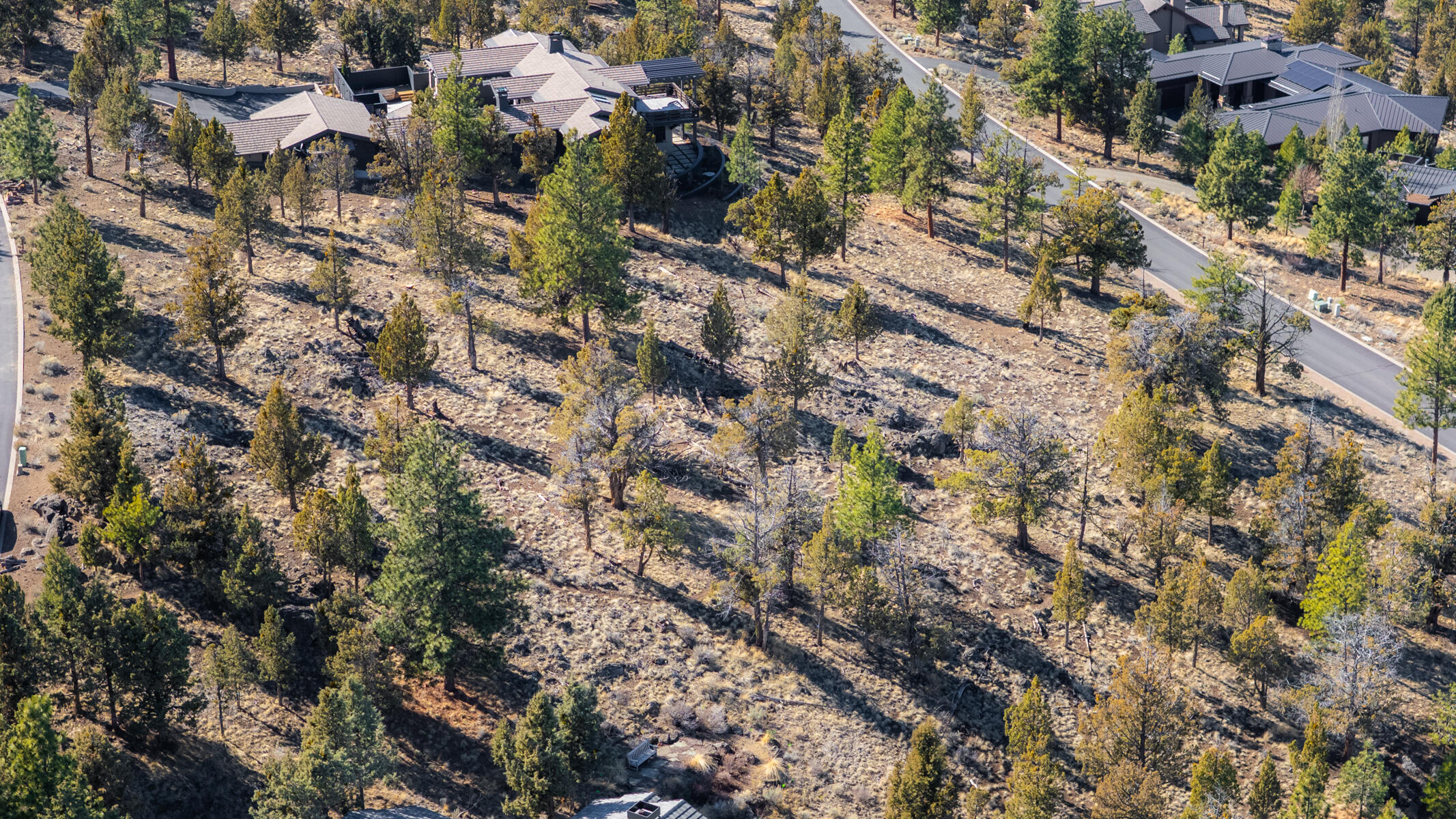 3473 NW Greenleaf Way, Lot 40