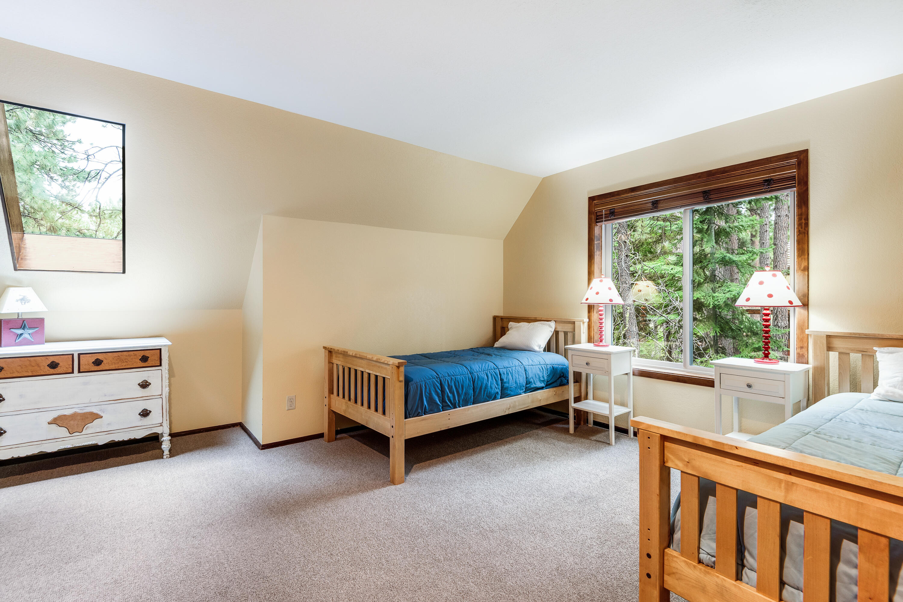 14023 Hawks Beard, B