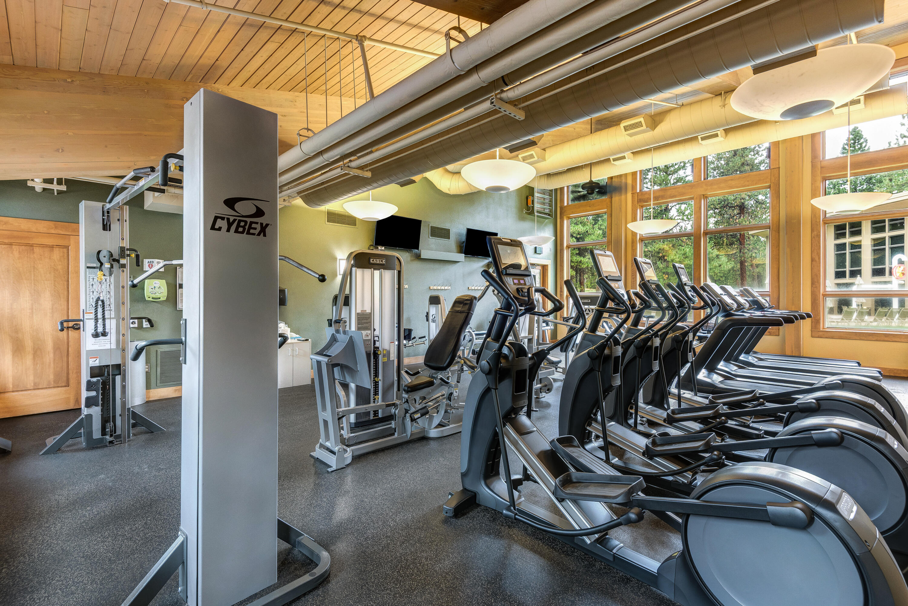 14023 Hawks Beard, B