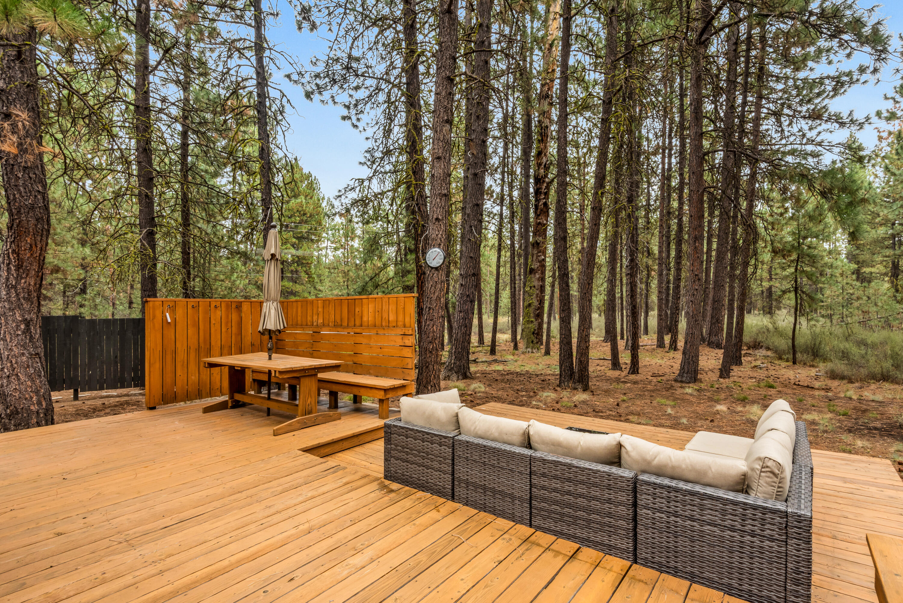 14023 Hawks Beard, B