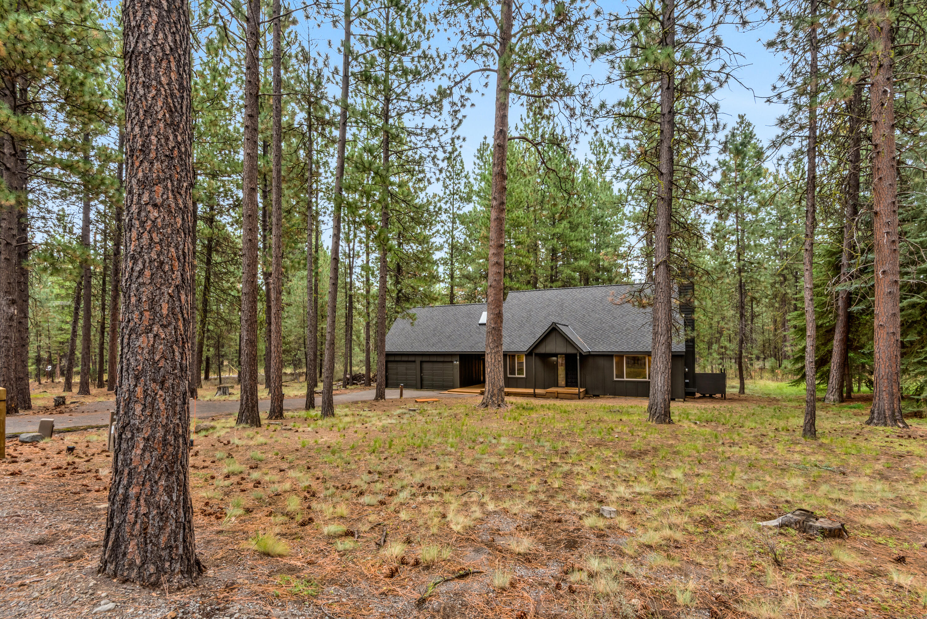 14023 Hawks Beard, B