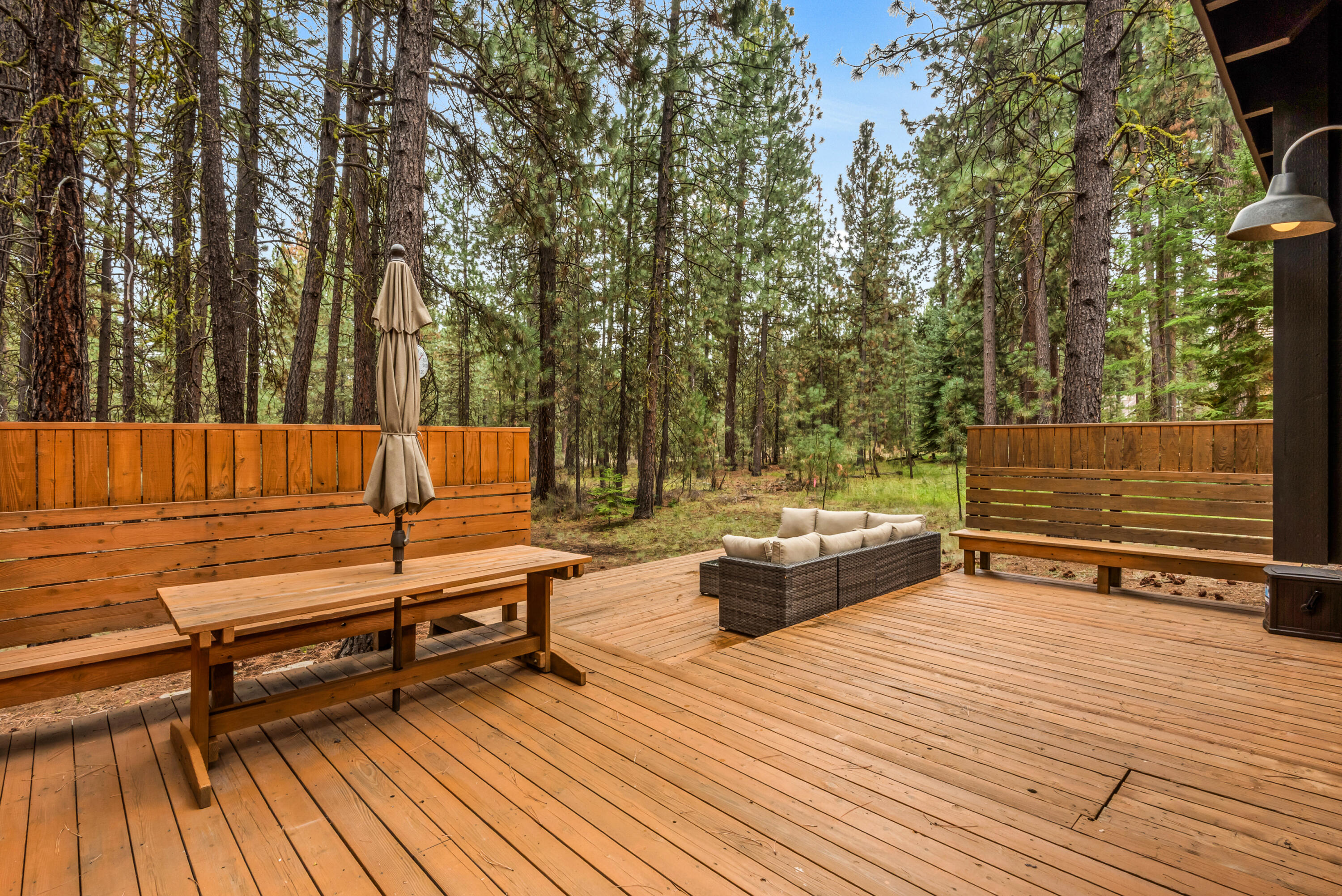 14023 Hawks Beard, B