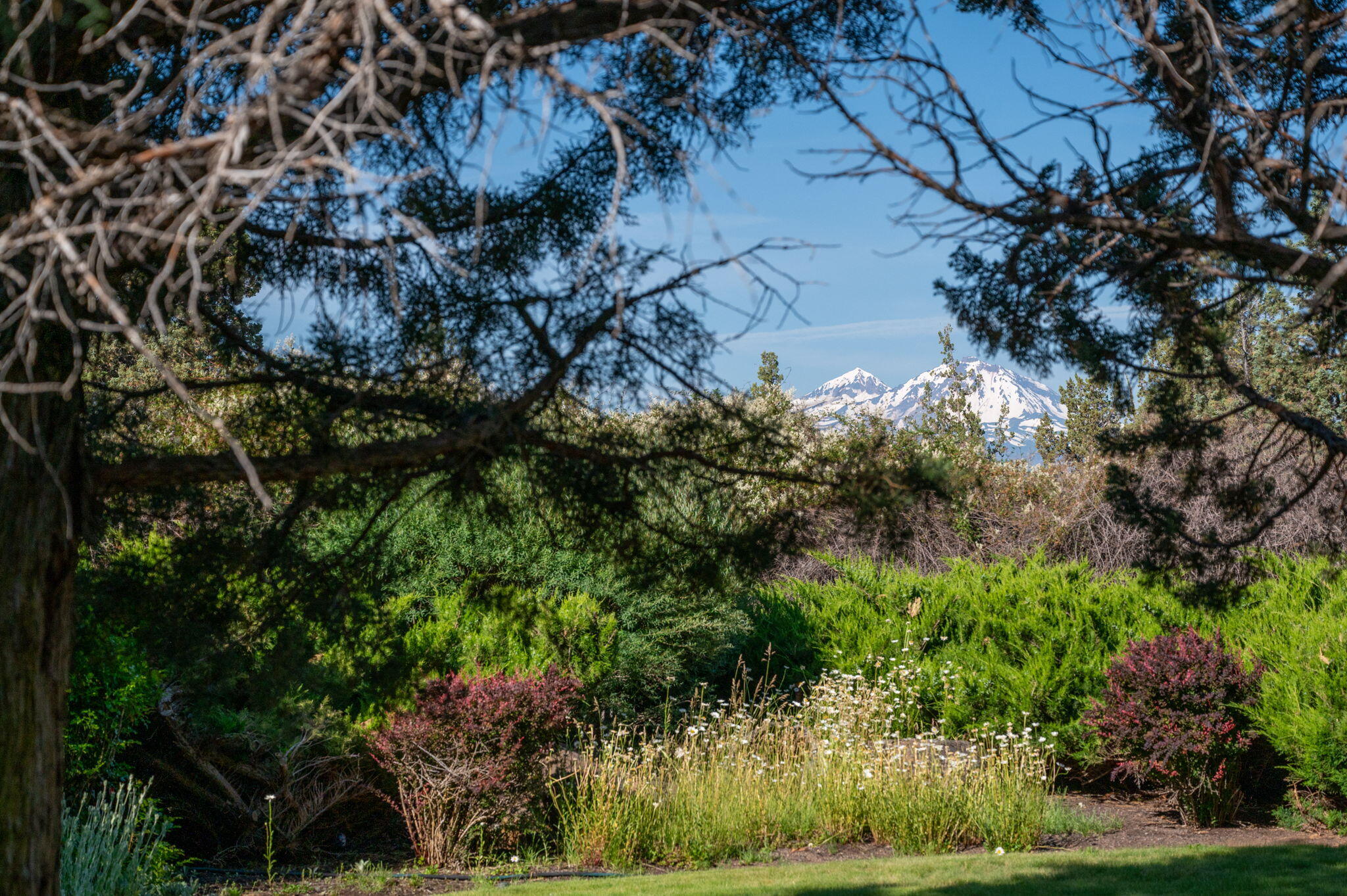 69150 Butcher Block Boulevard