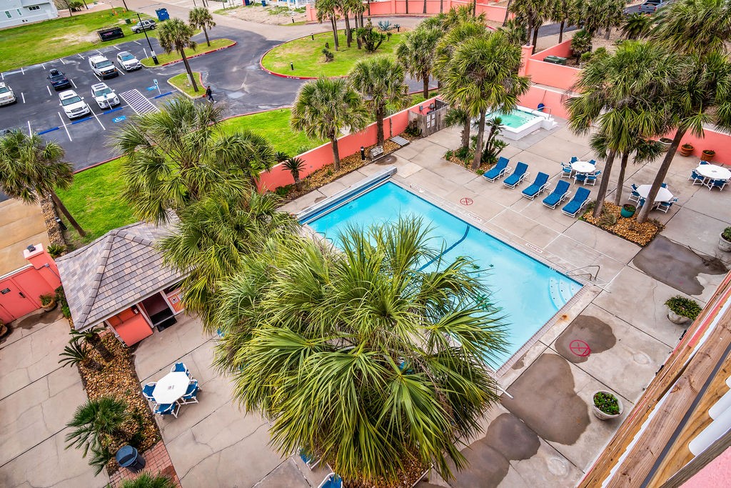 Aerial view of a courtyard pool surrounded by palm trees, lounge chairs, and a small pavilion.