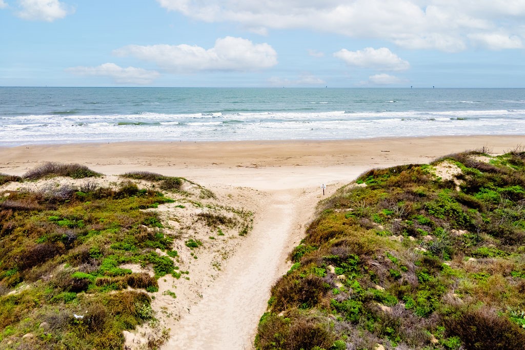 Sandy path through coastal dunes leading to a broad beach and ocean waves.