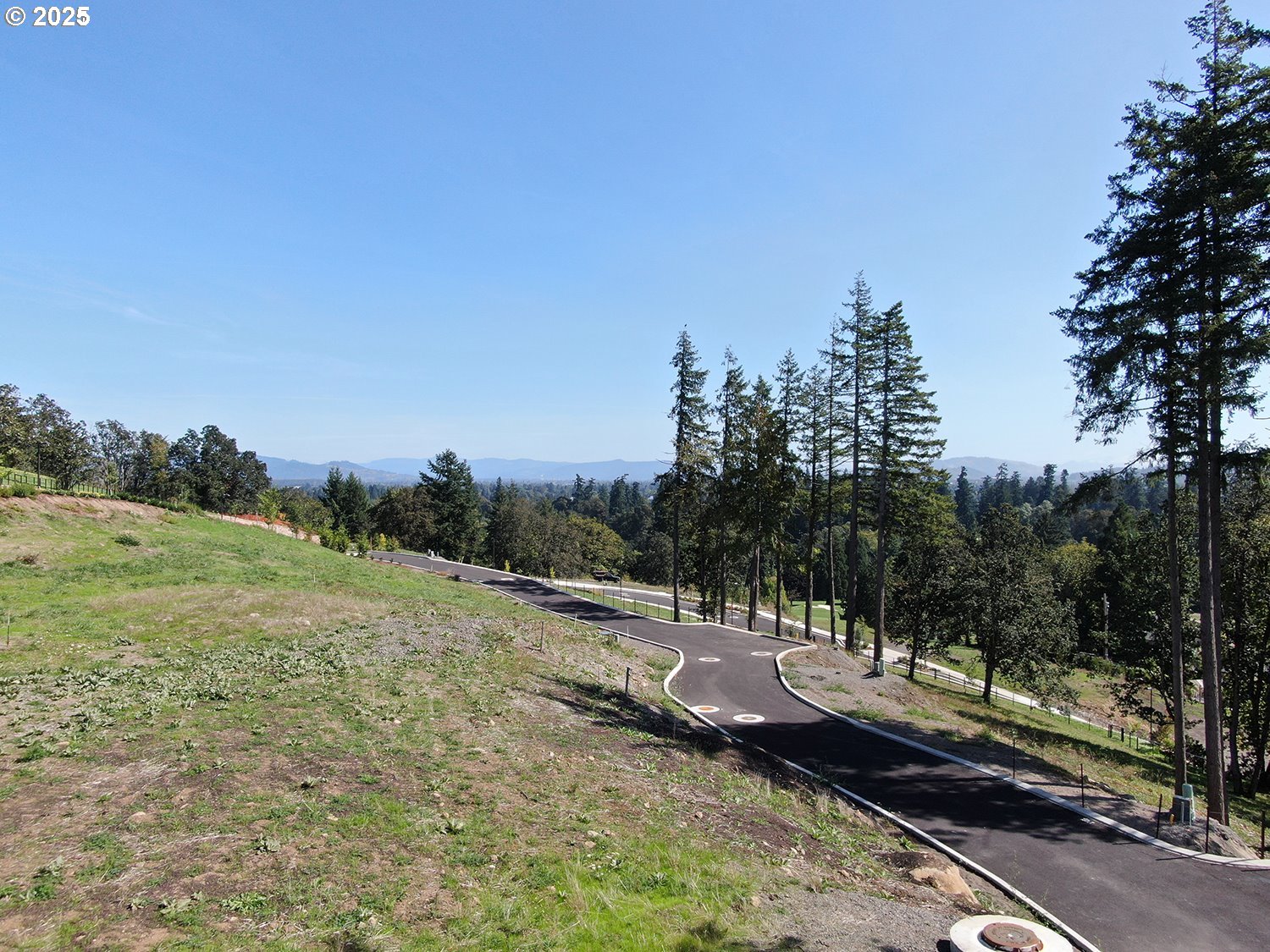 1238 STONE FOREST CT 10