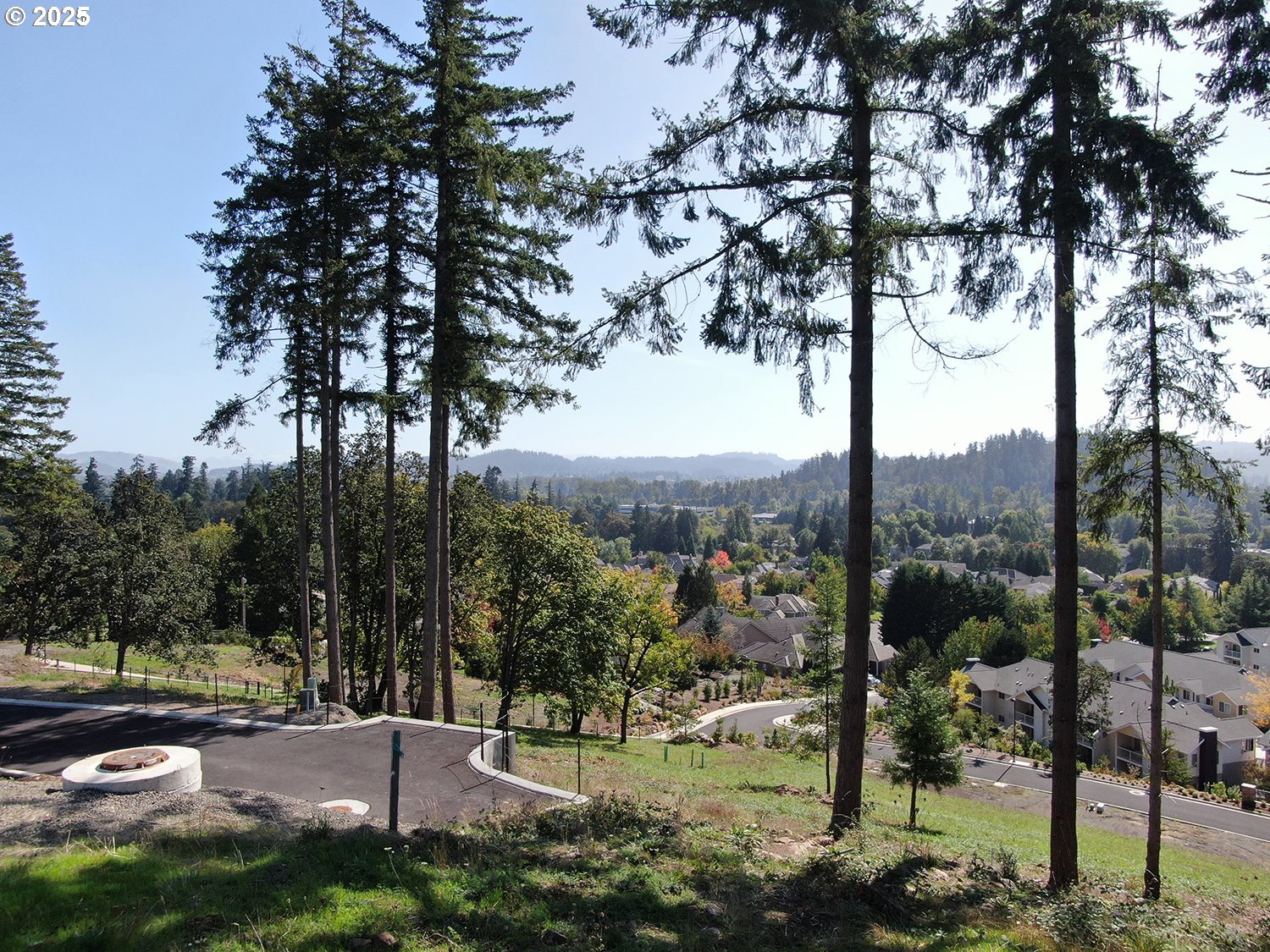 1238 STONE FOREST CT 10