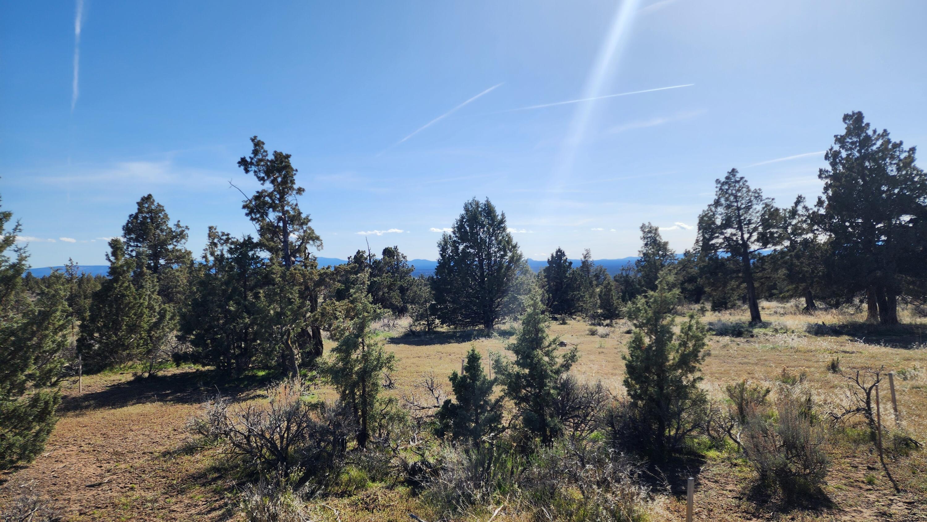 14379 SW Lupine Drive