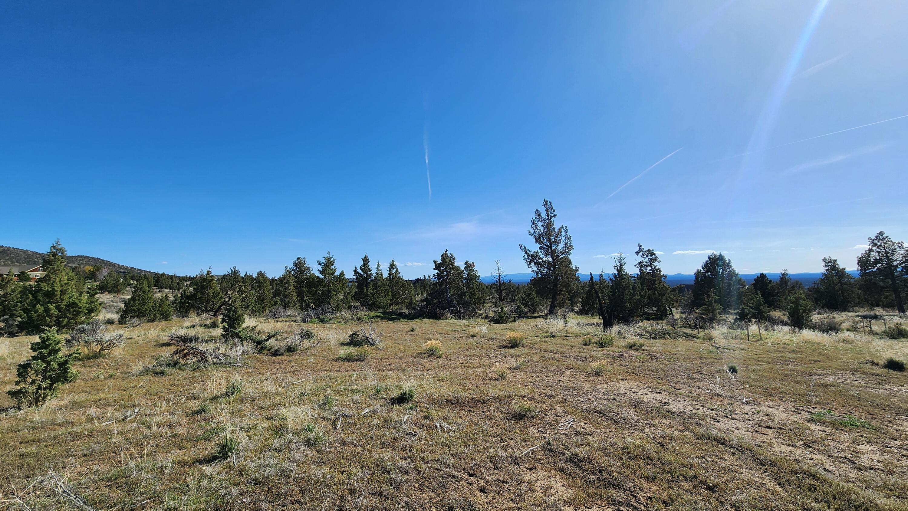 14379 SW Lupine Drive