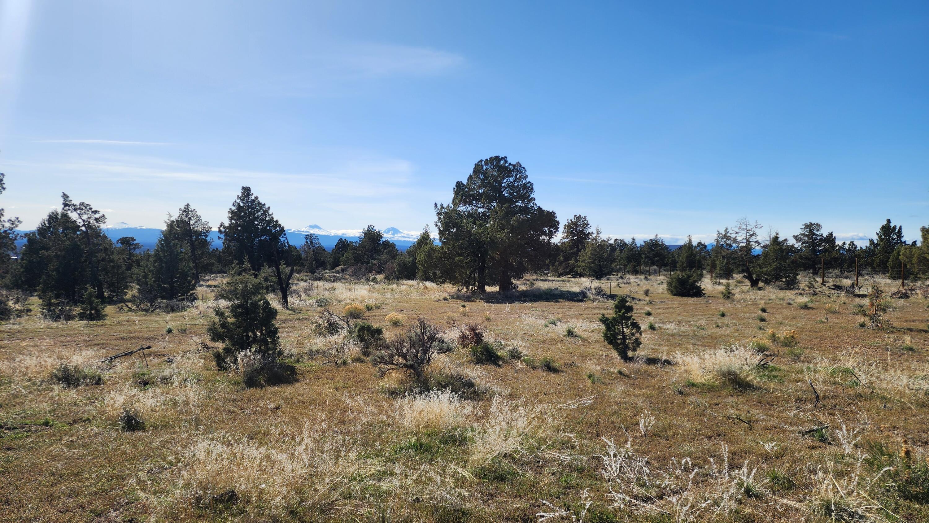 14379 SW Lupine Drive