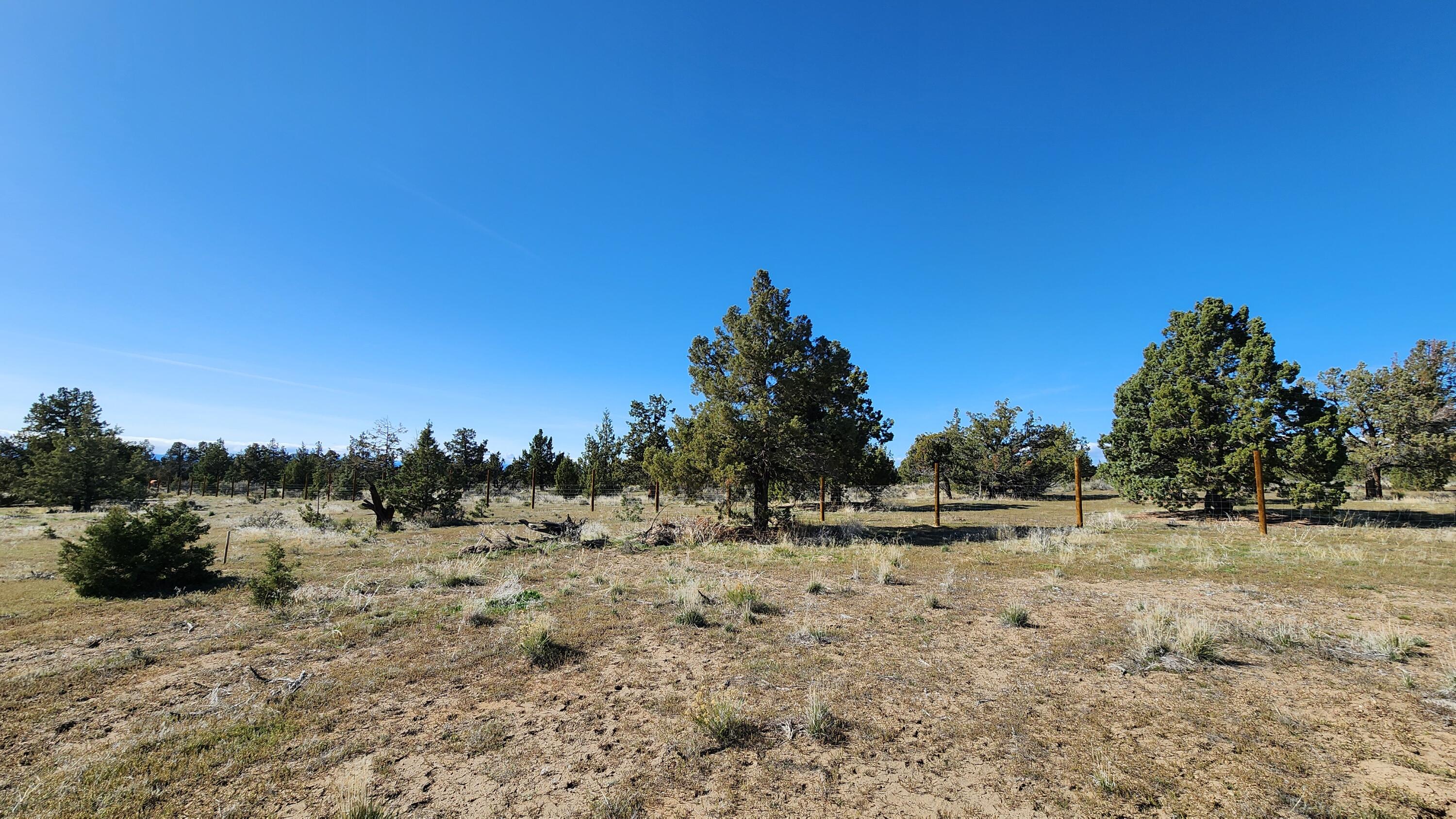 14379 SW Lupine Drive