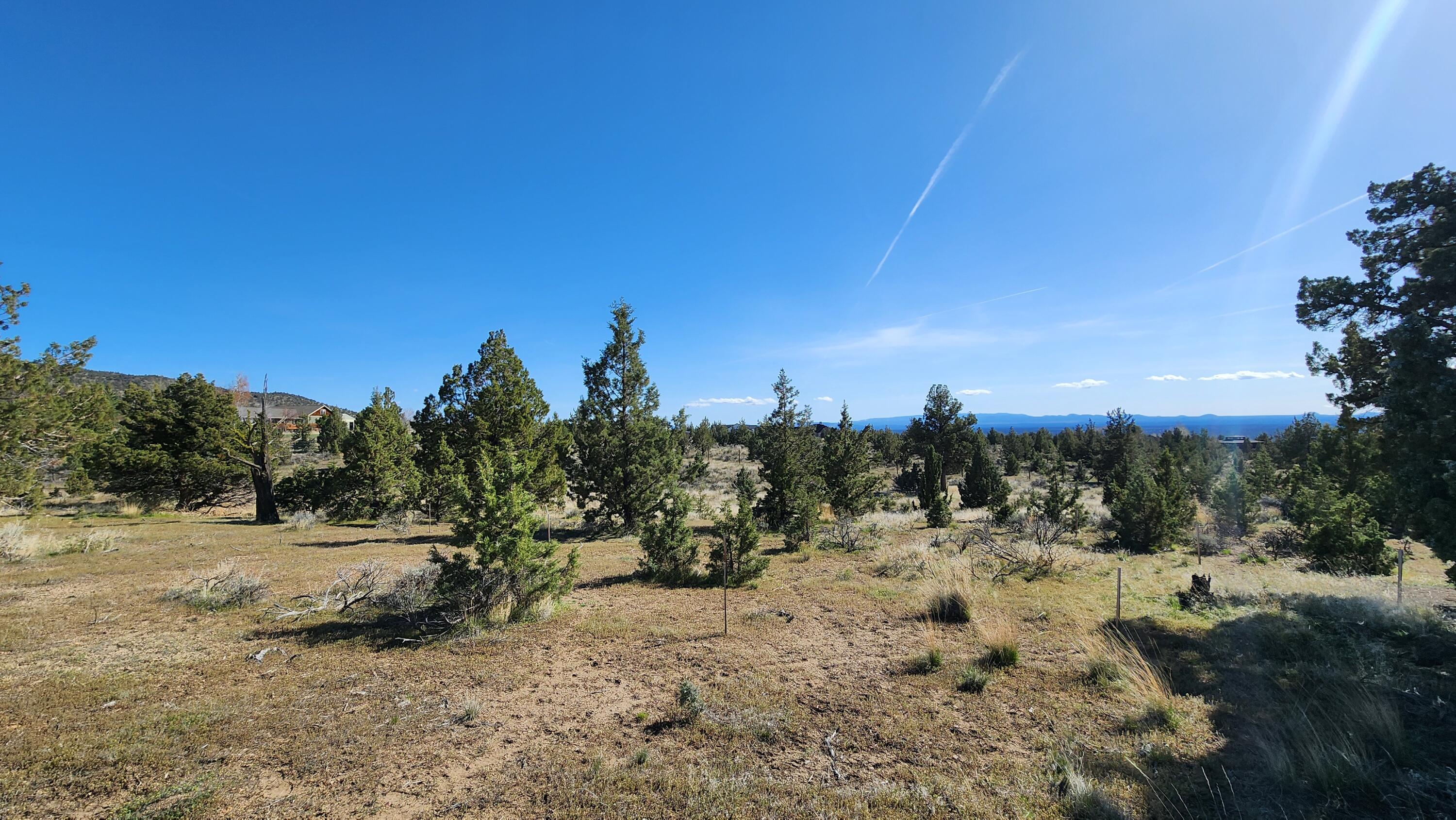 14379 SW Lupine Drive