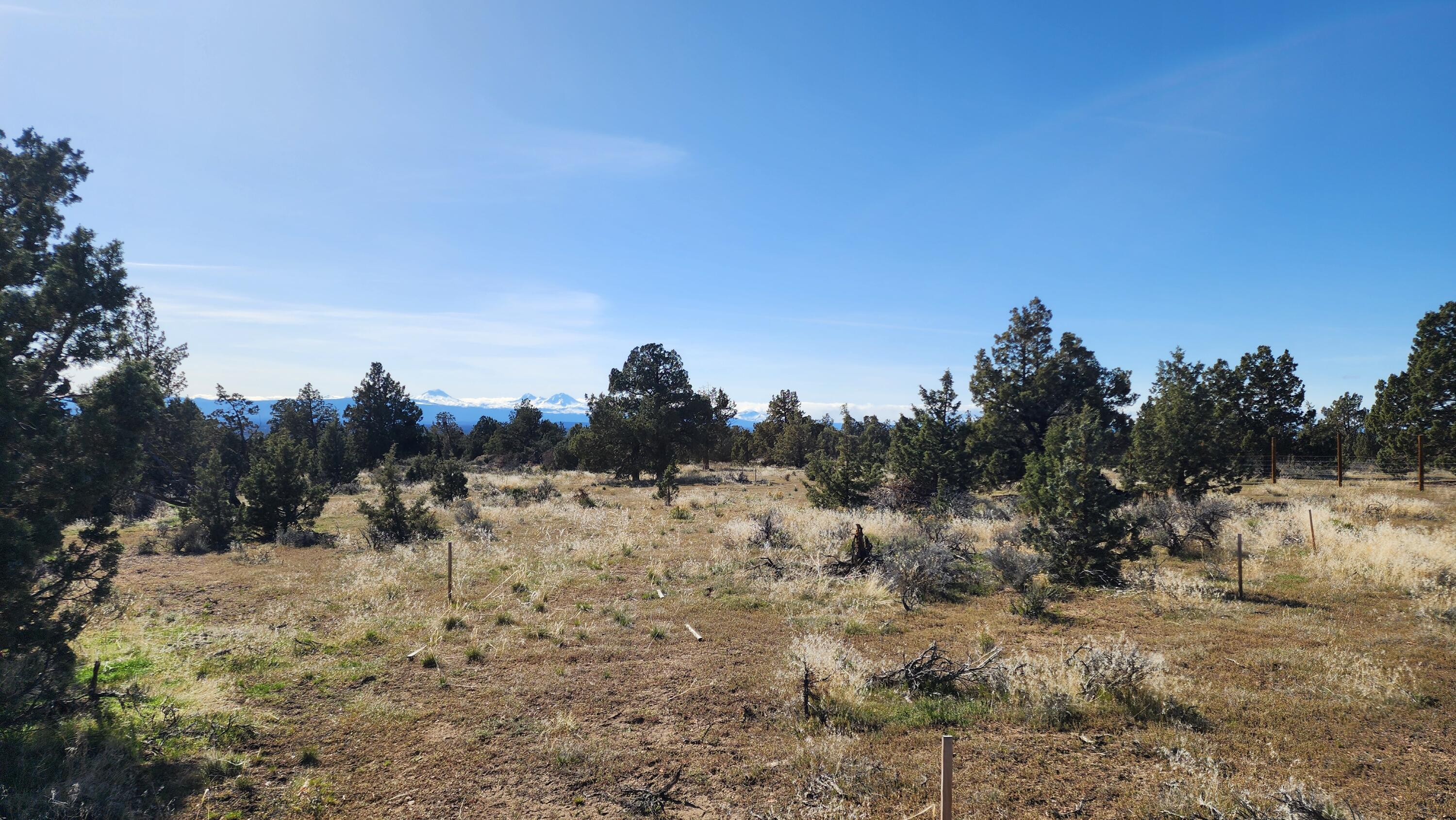 14379 SW Lupine Drive