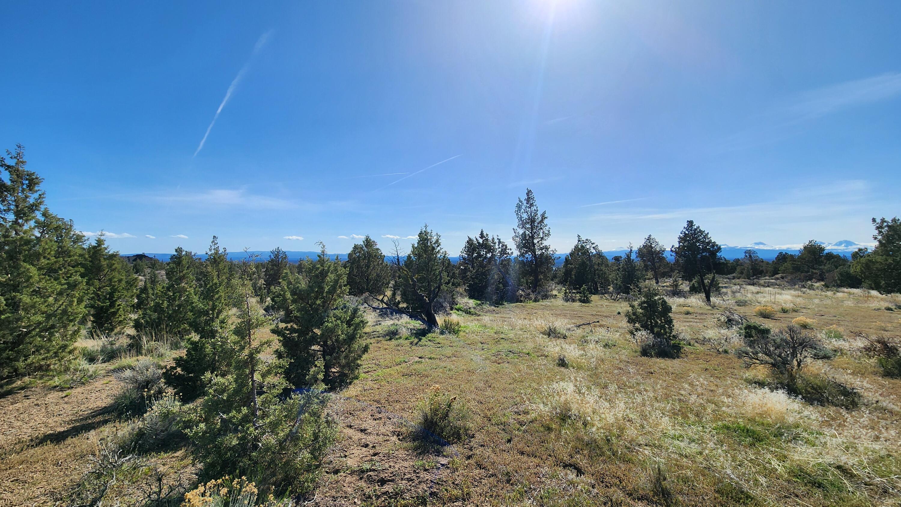 14379 SW Lupine Drive