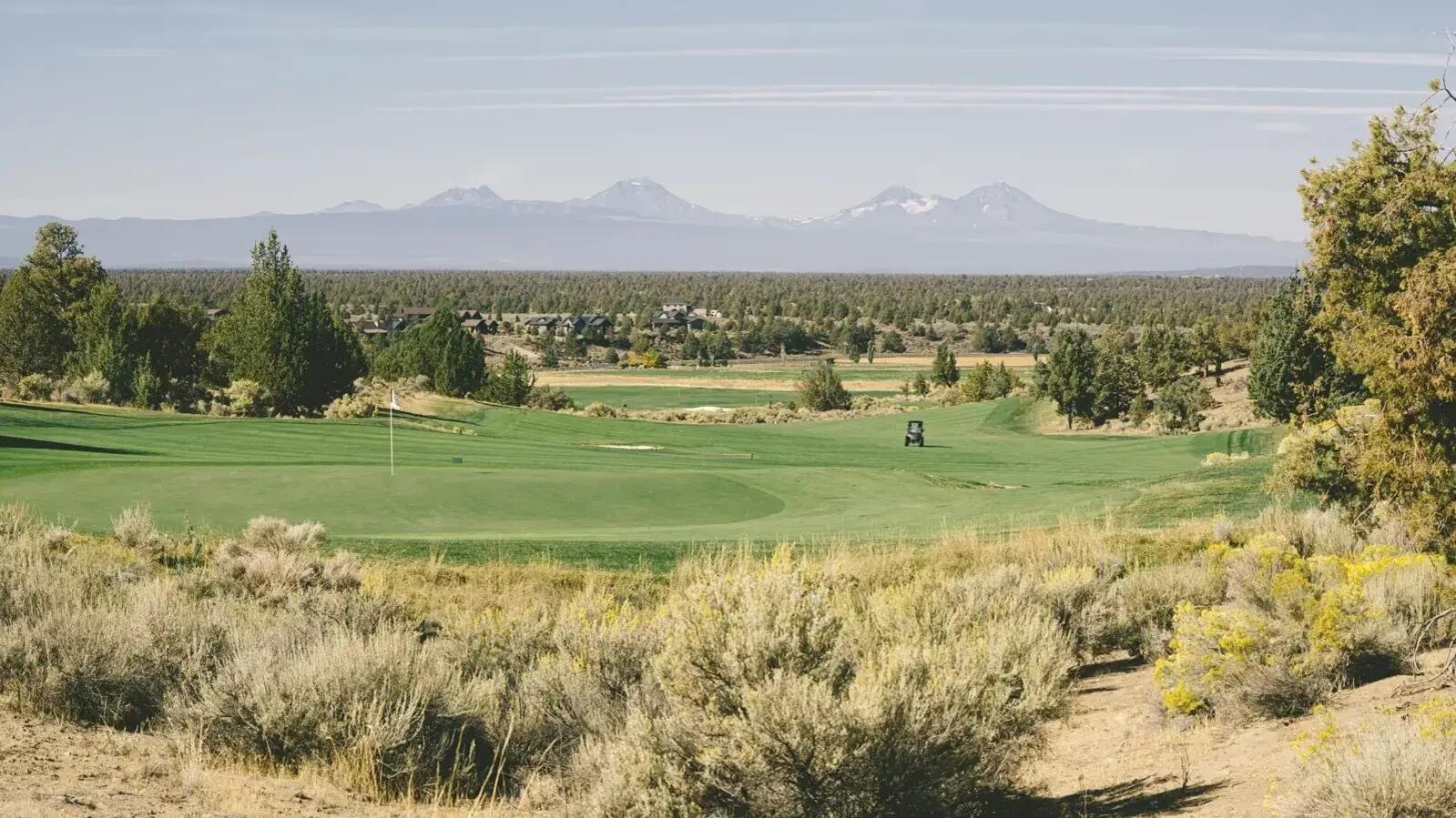 15150 S W Two Saddle Court