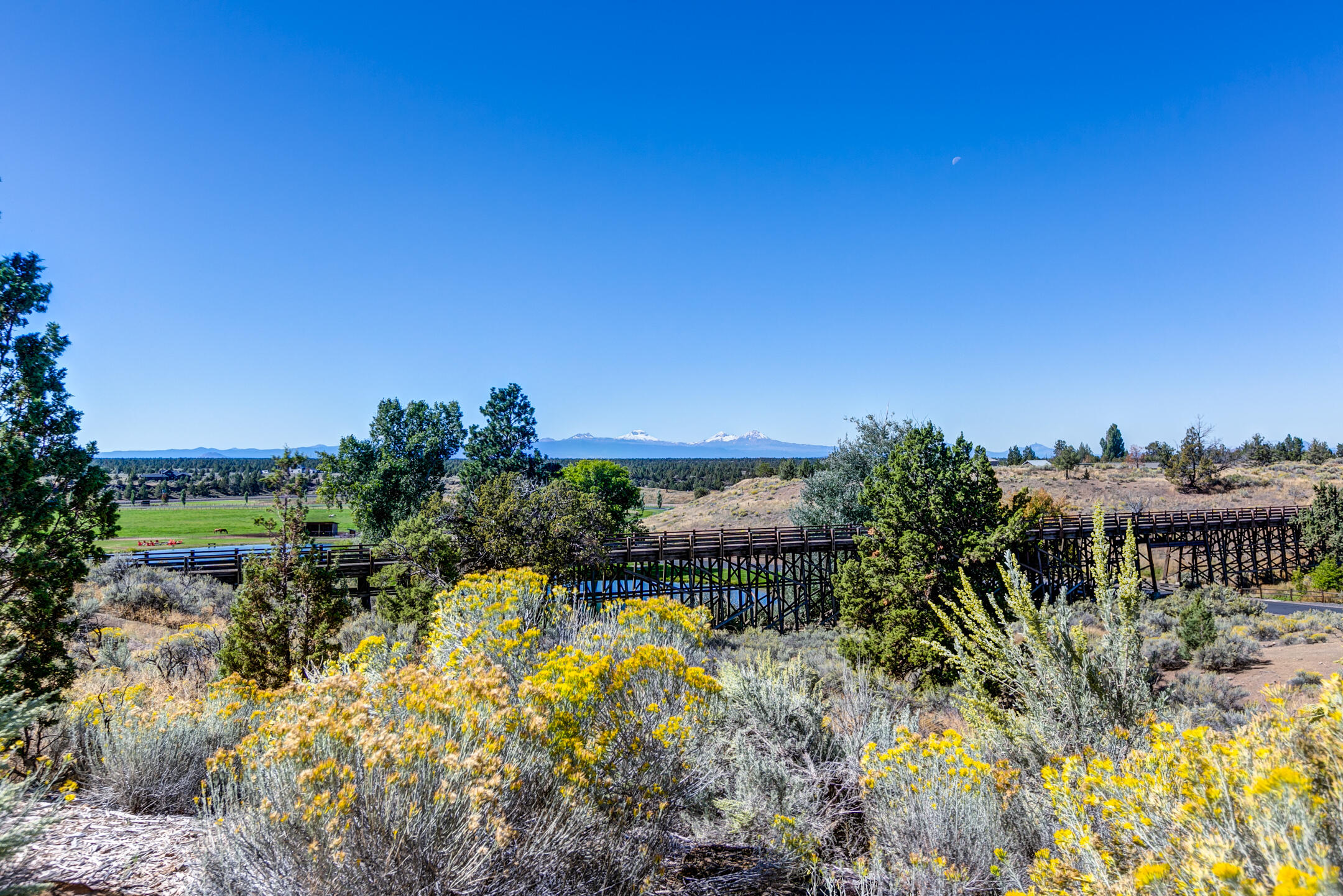 15150 S W Two Saddle Court