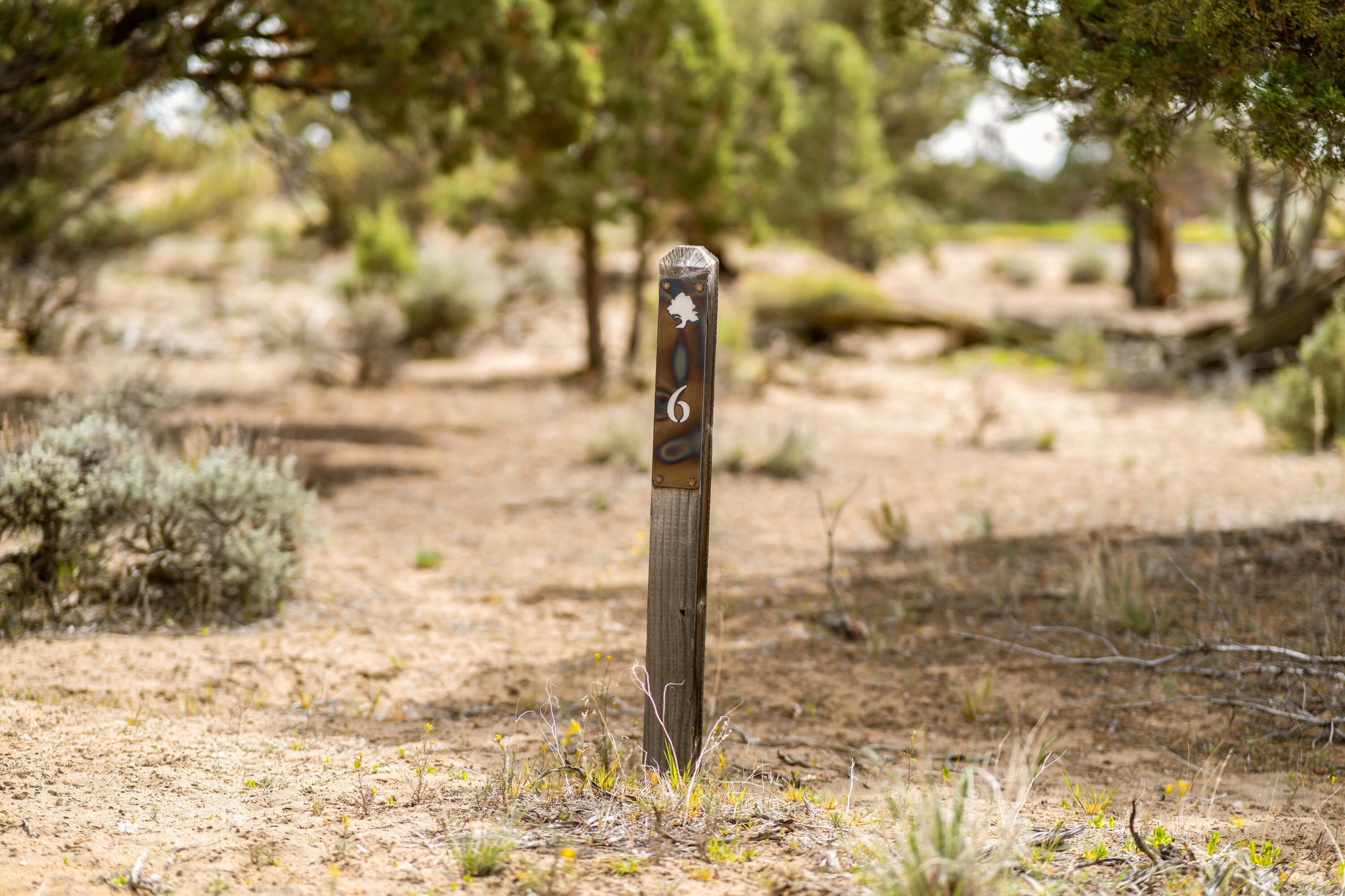 16539 SW Vaqueros Way, 6