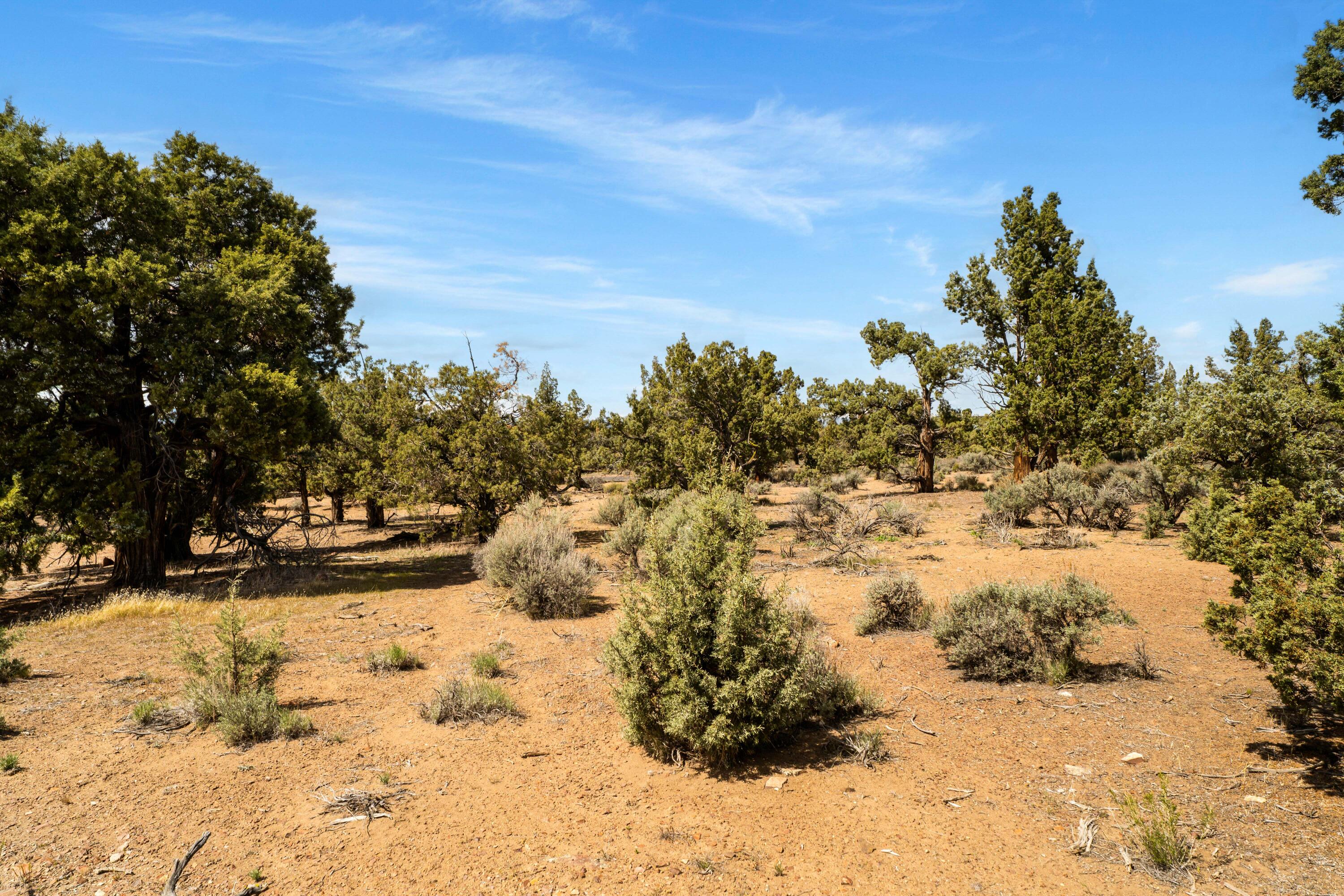 16539 SW Vaqueros Way, 6