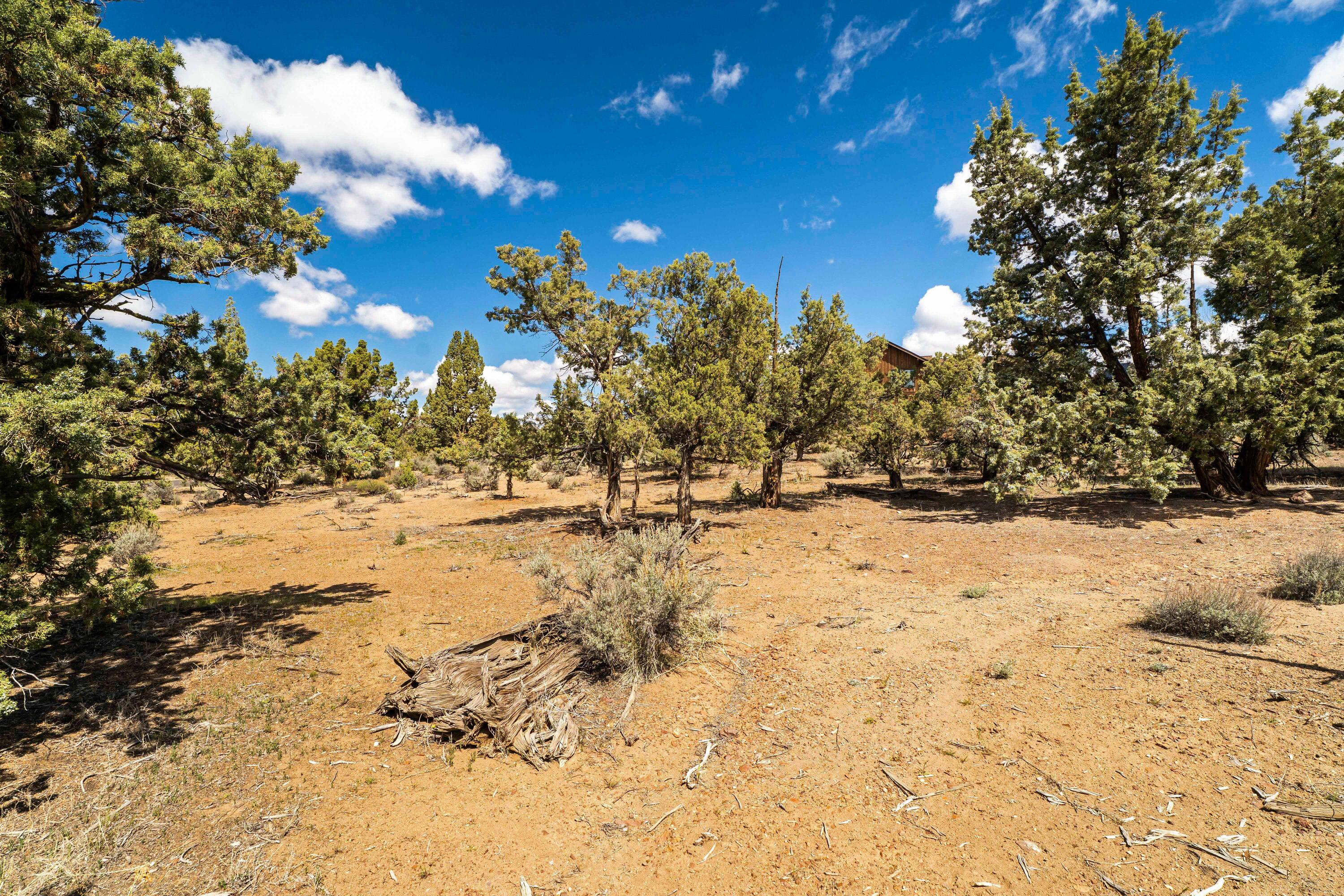 16539 SW Vaqueros Way, 6