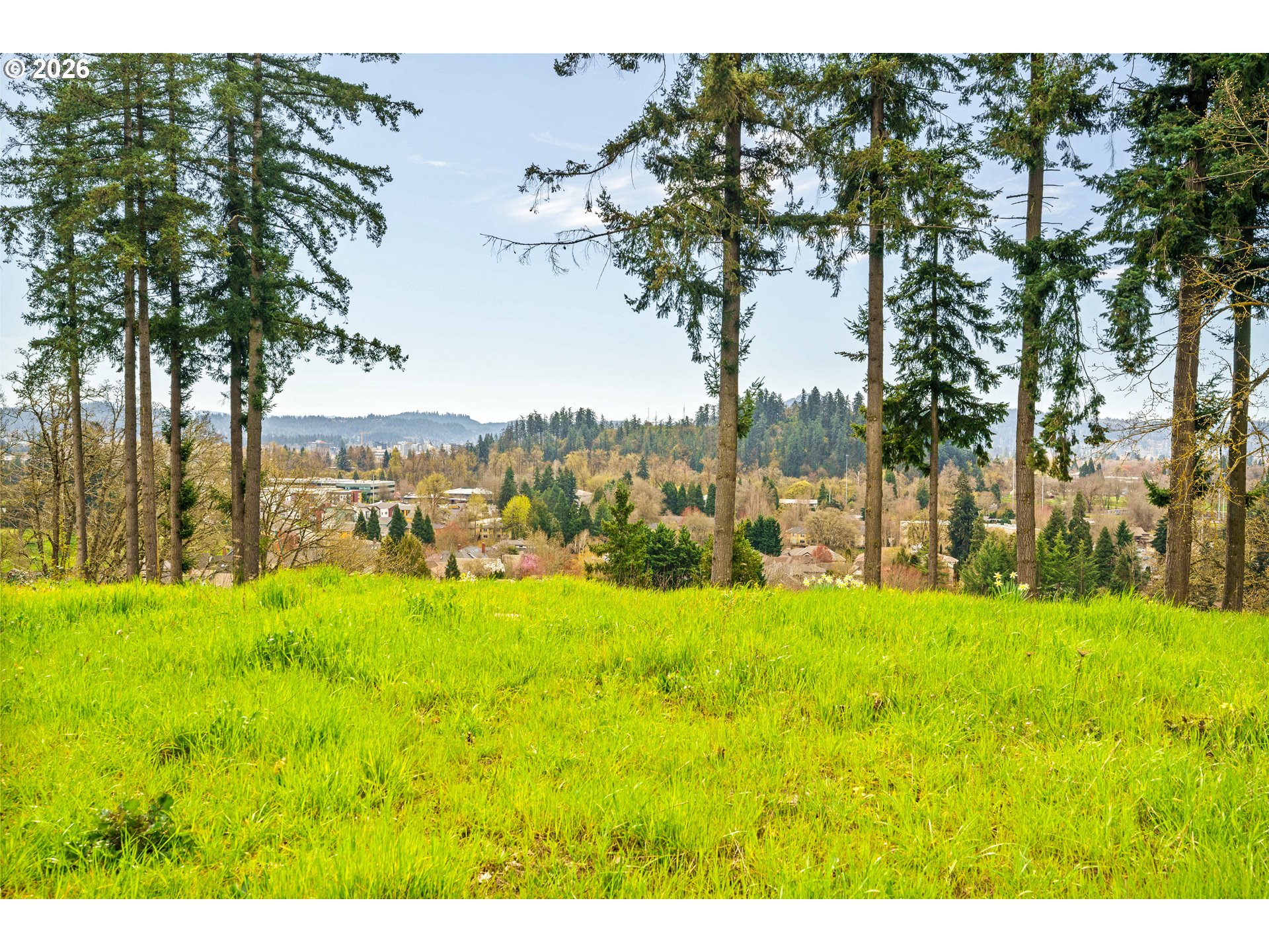 1238 STONE FOREST CT