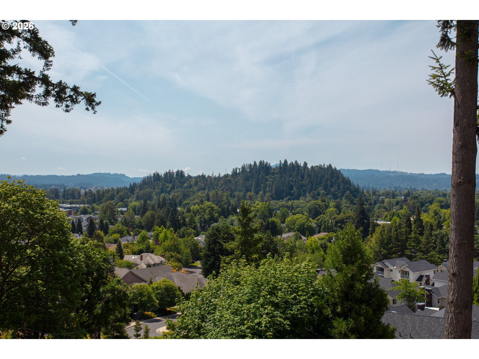 1238 STONE FOREST CT