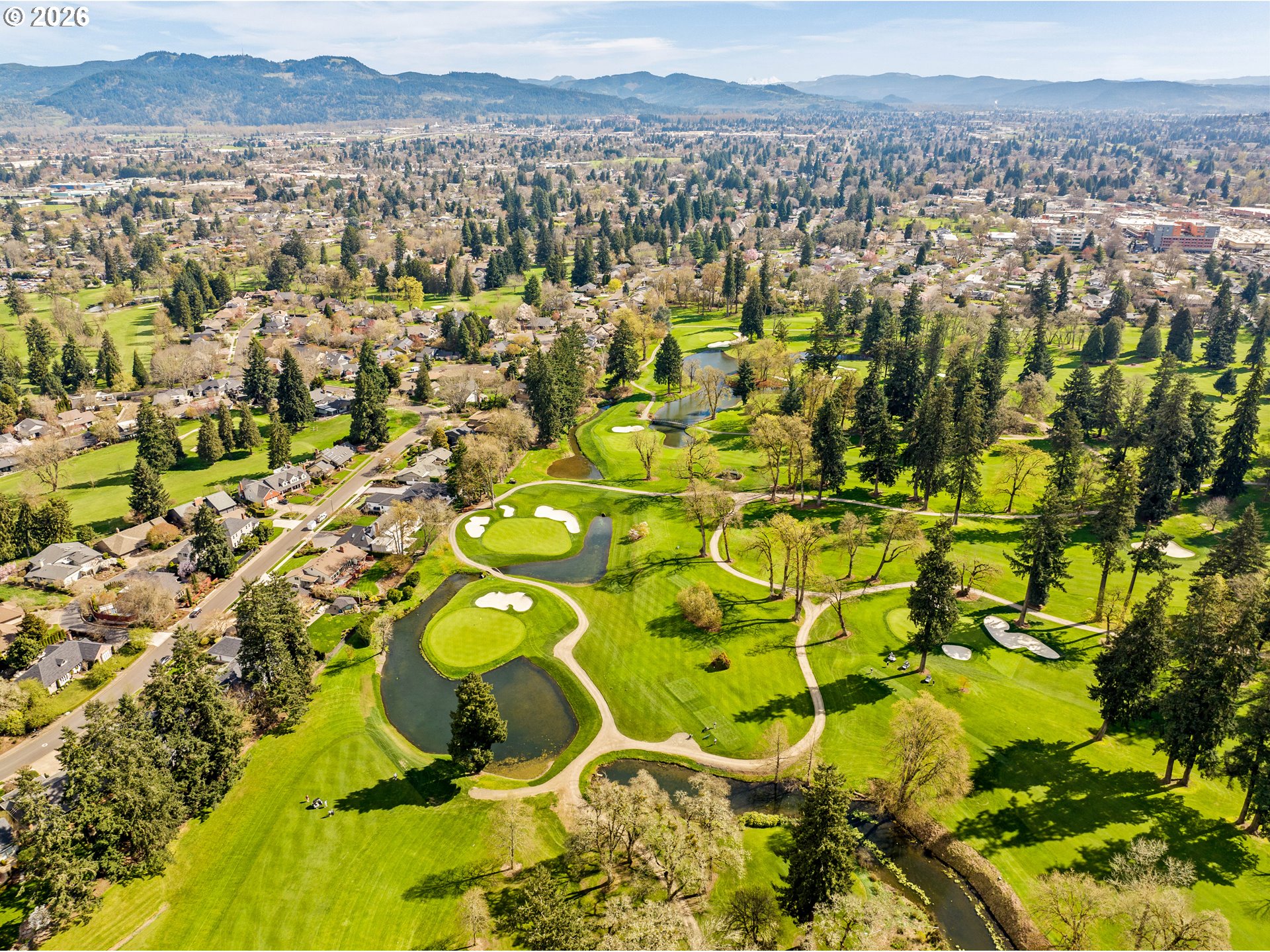 1238 STONE FOREST CT