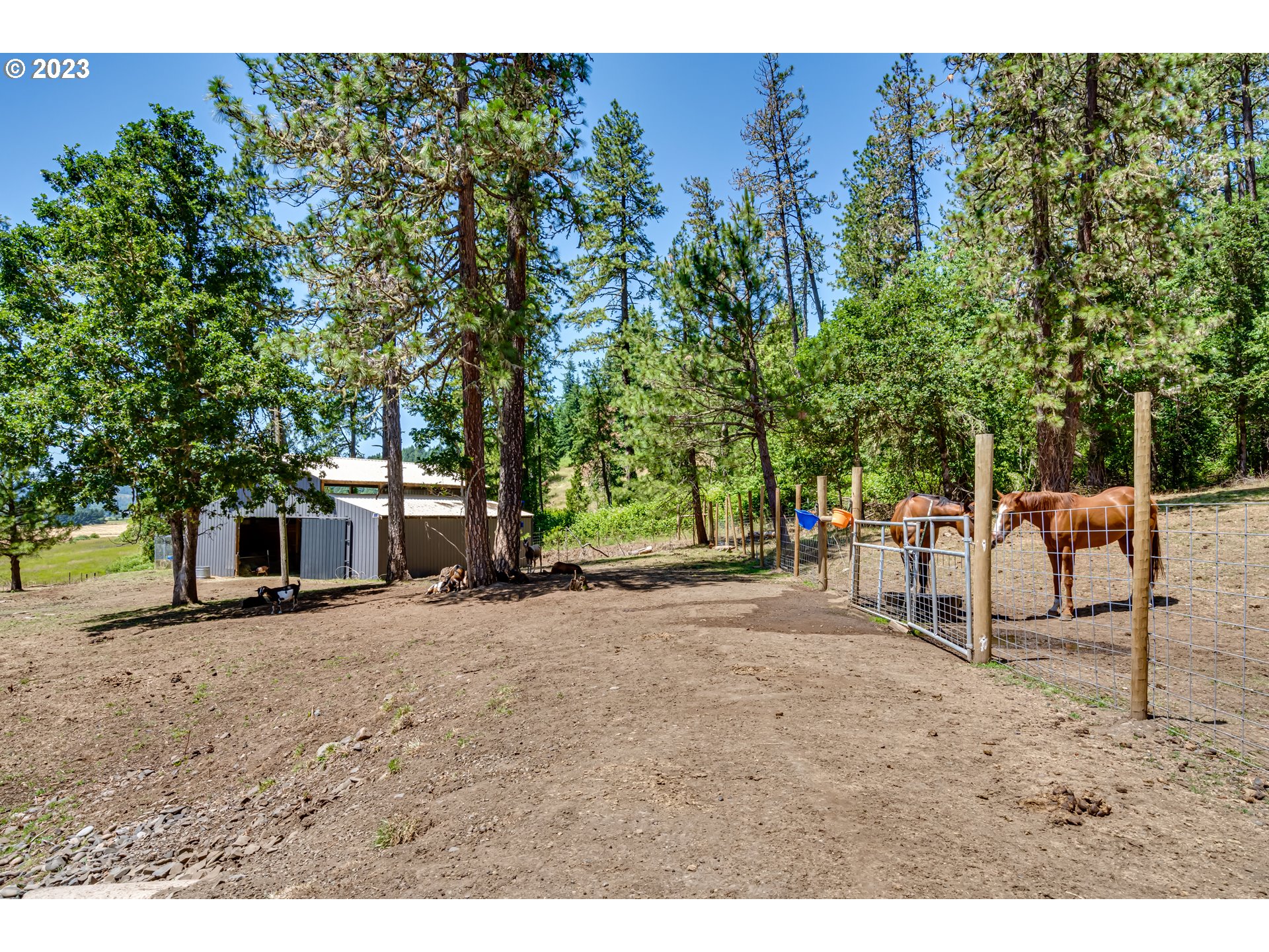 83811 S MORNINGSTAR RD