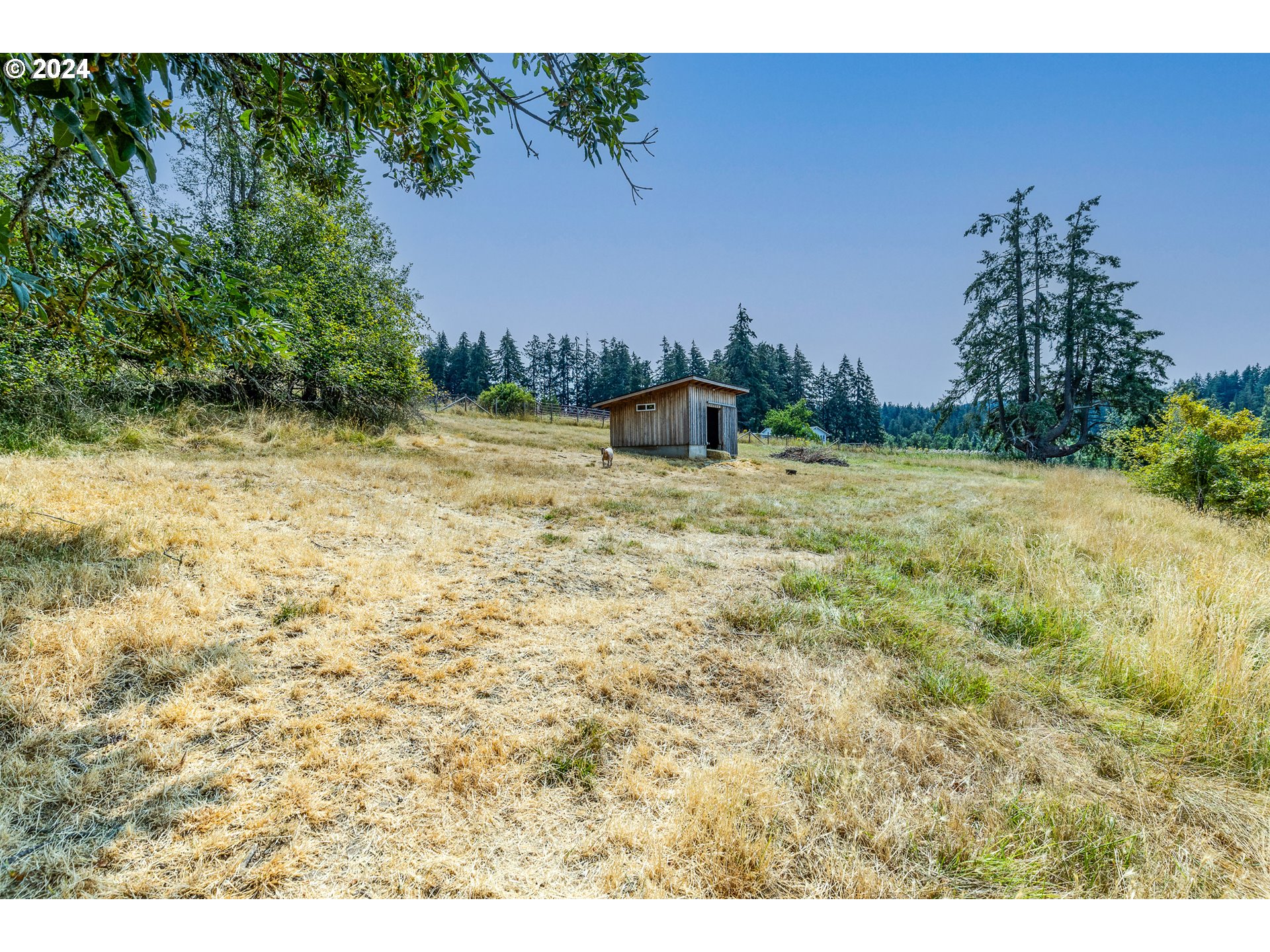 35536 SUNNYHILL LN