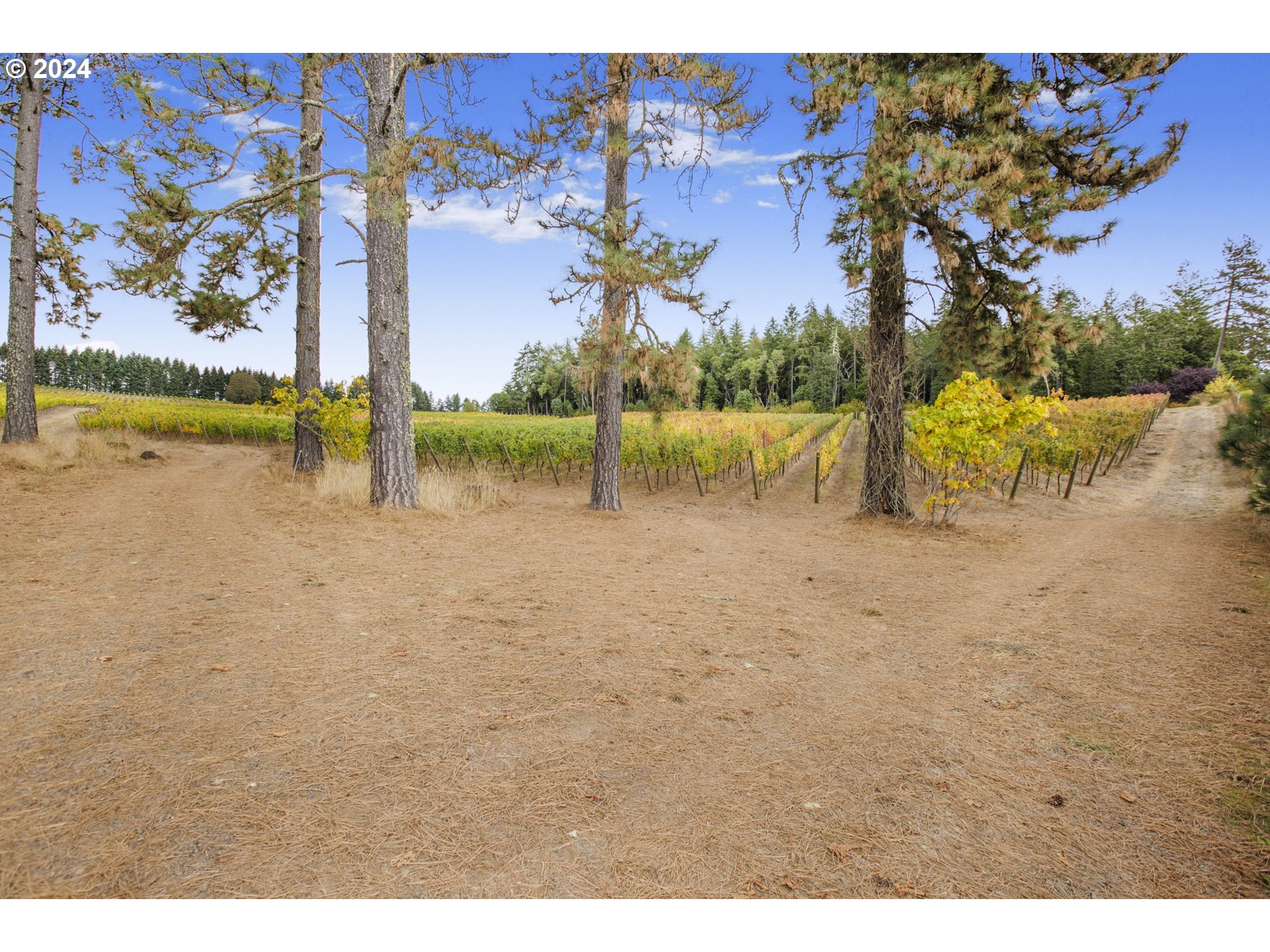 25219 HIGH PASS RD