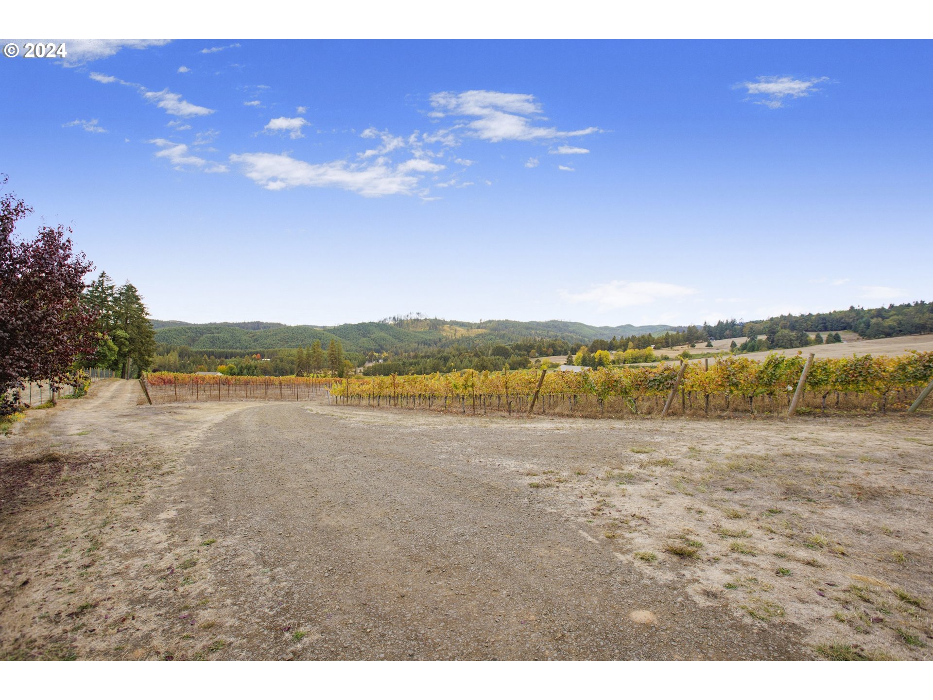 25219 HIGH PASS RD