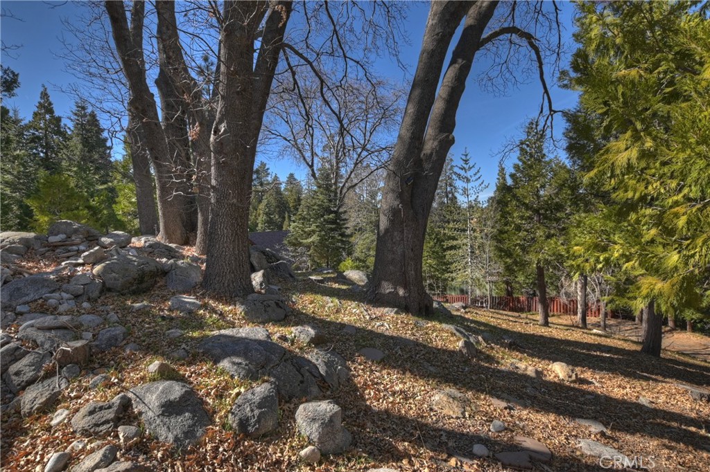 28621 Shenandoah Drive