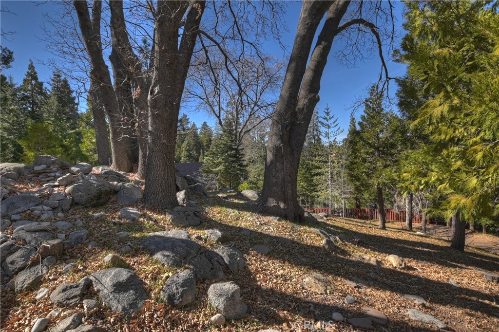 28621 Shenandoah Drive