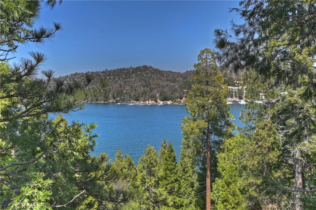 28844 Cedar Drive